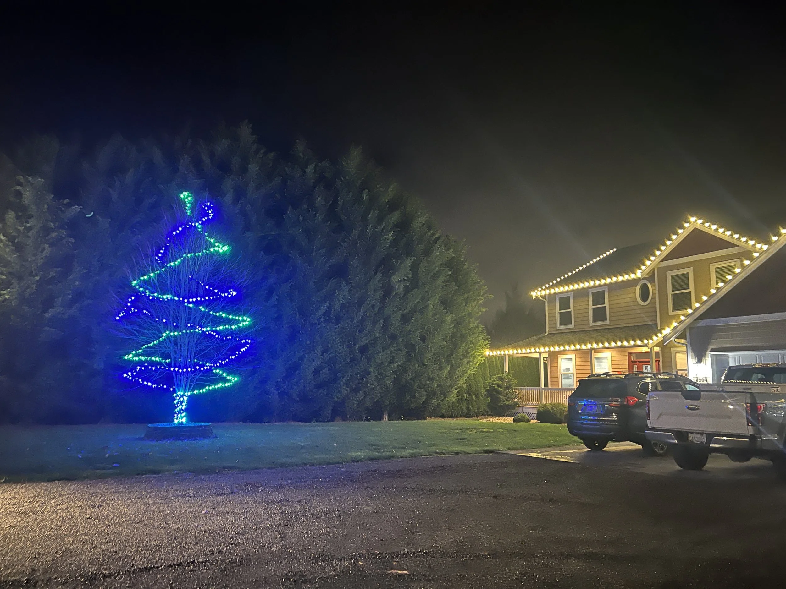 Spiral wrapped style tree