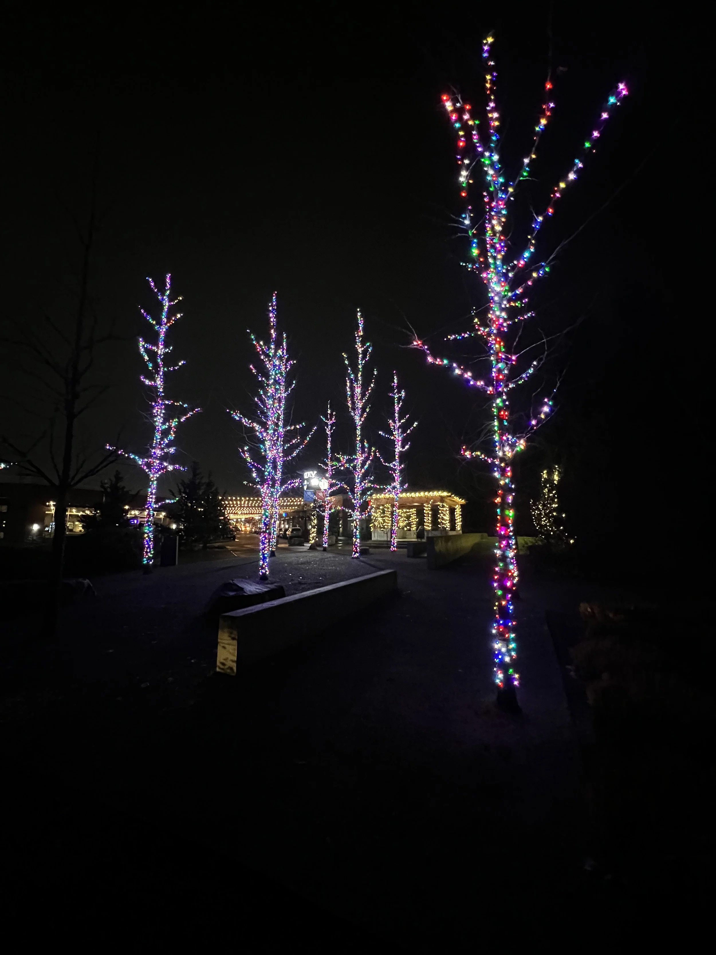 Cali wrapped style tree