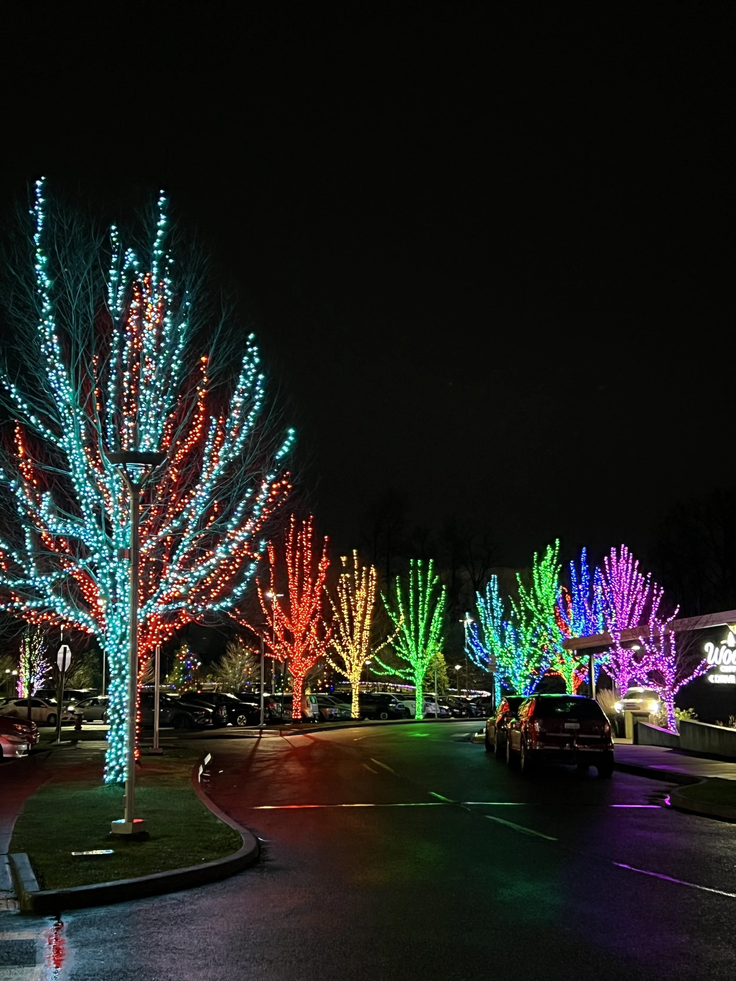 Large Cali wrapped trees