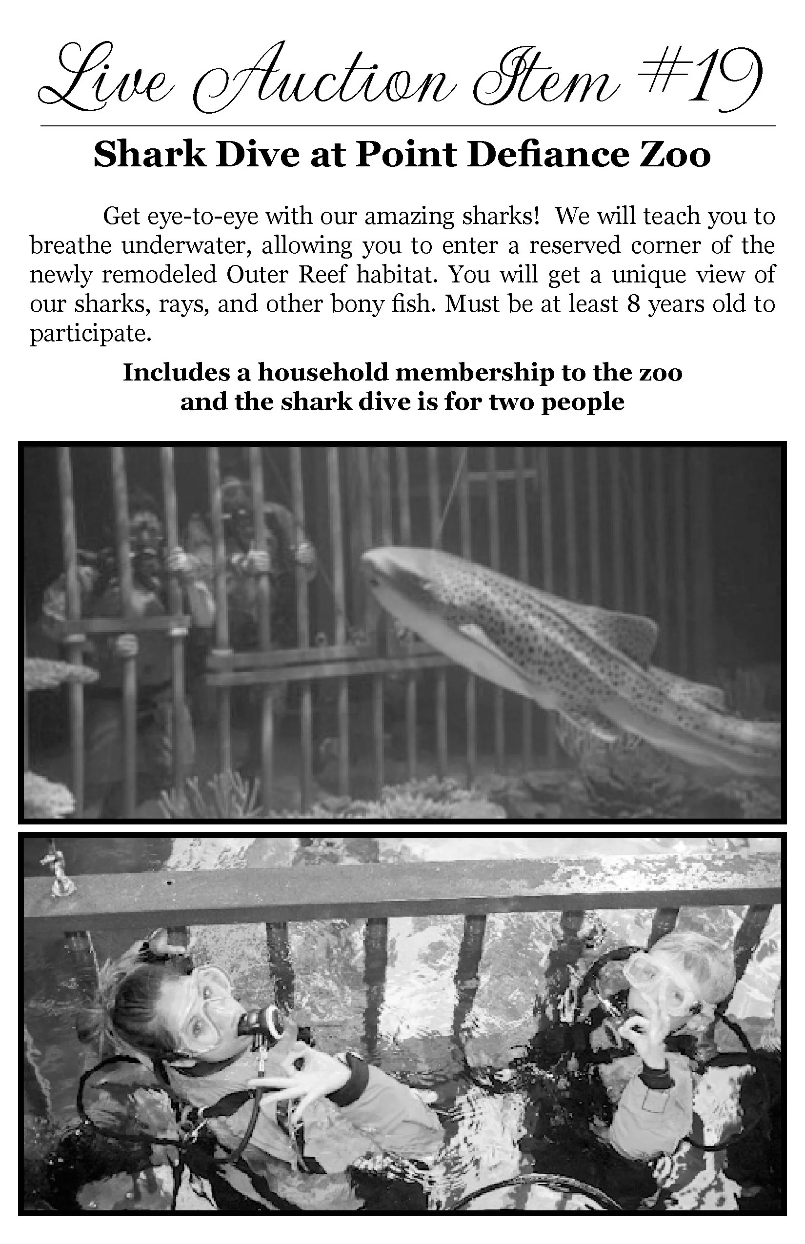 Flyer for a live auction event titled 'Shark Dive at Point Defiance Zoo,' describing an underwater tour to see sharks and other sea creatures, with kids and adults participating in a water activity with children and adults in wetsuits.