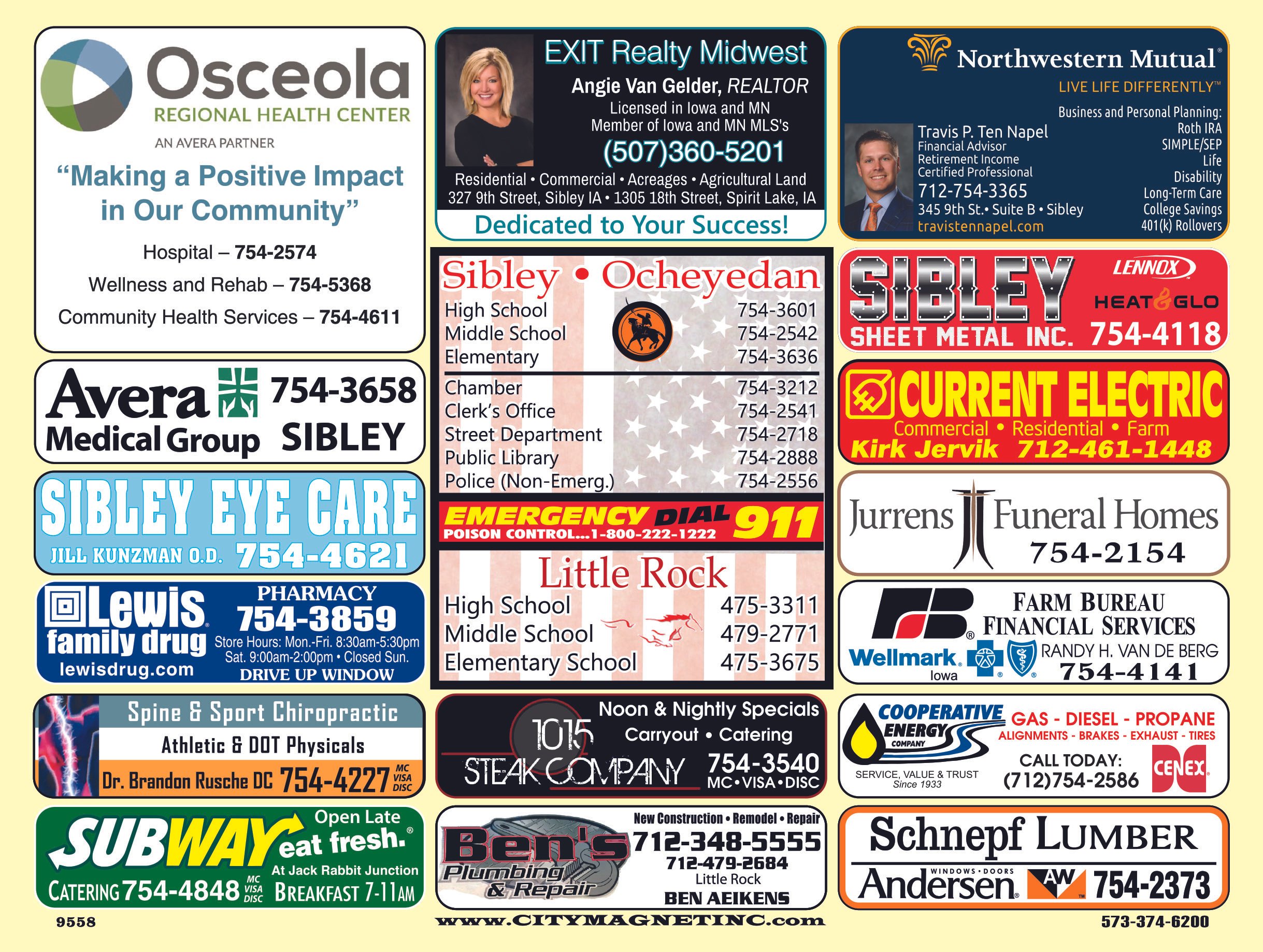 A collage of various business advertisements, including healthcare services, real estate, finance, education, and local businesses, with contact information and logos.