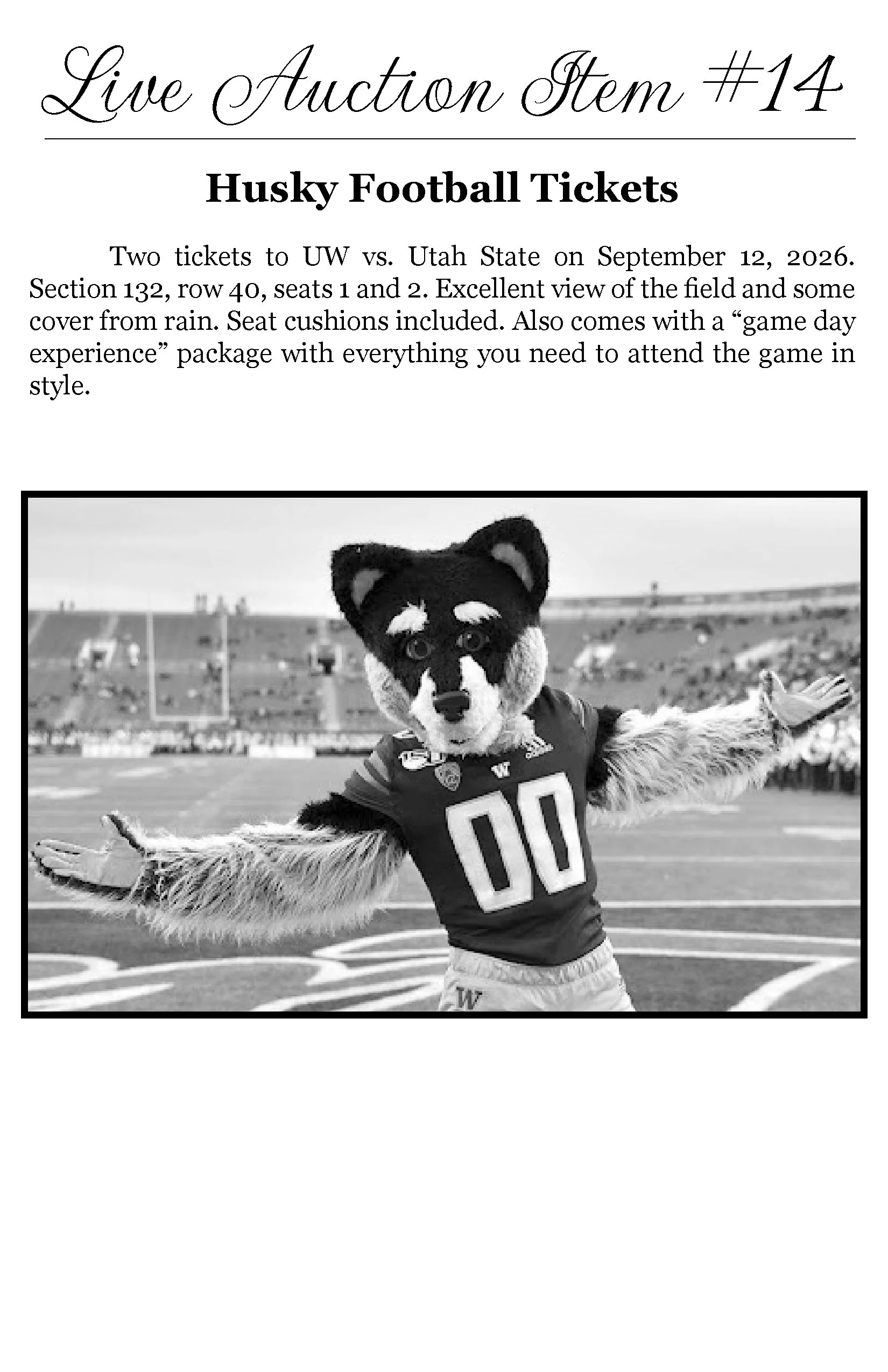 A person dressed in a Husky mascot costume at a football game on a field, with arms outstretched.