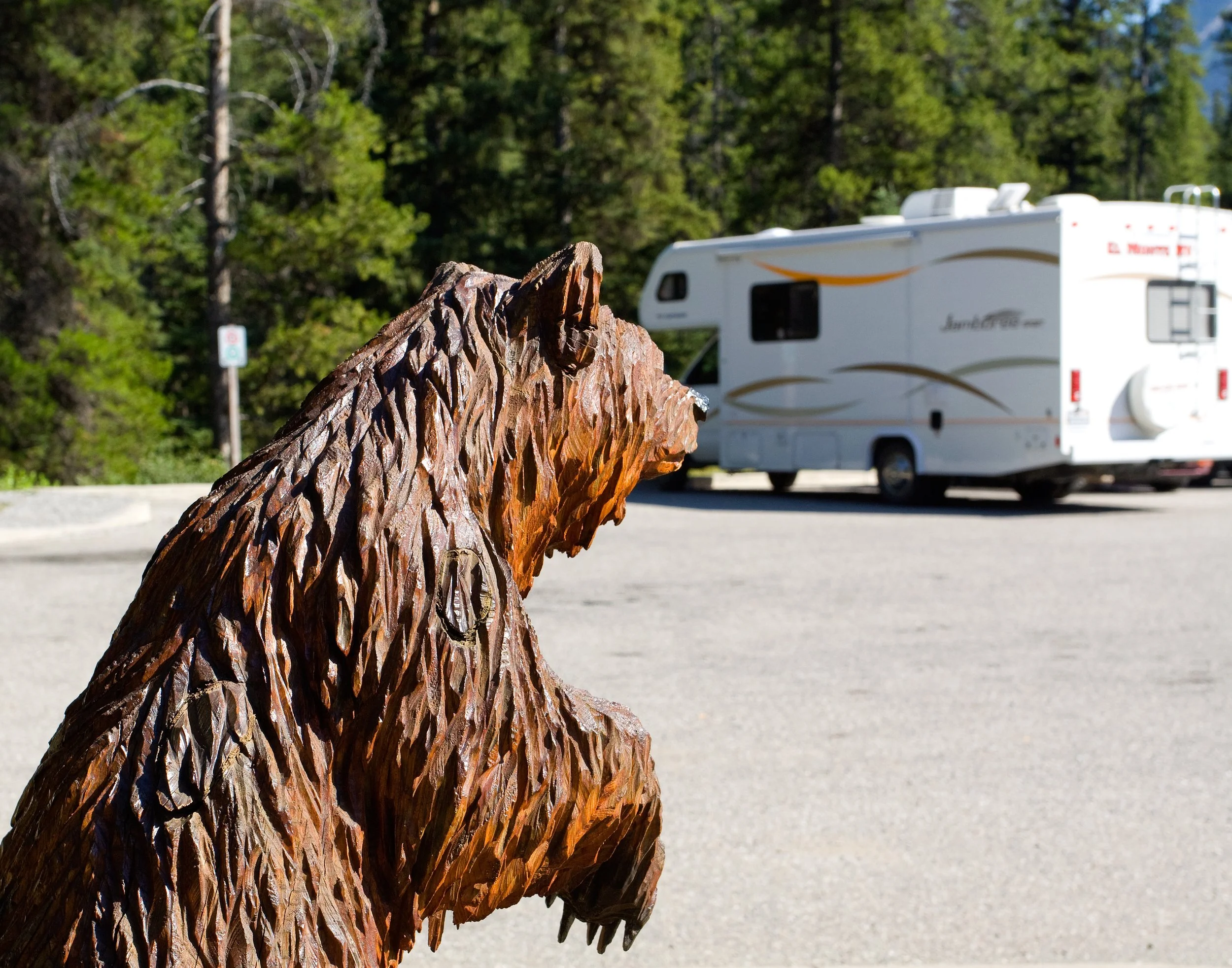 Carved Bear observing Camper, Jasper NP, Canada