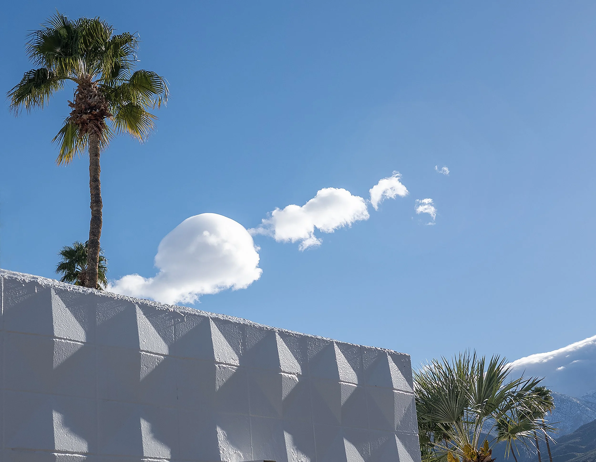 Clouds ascending from textured wall and palm tree