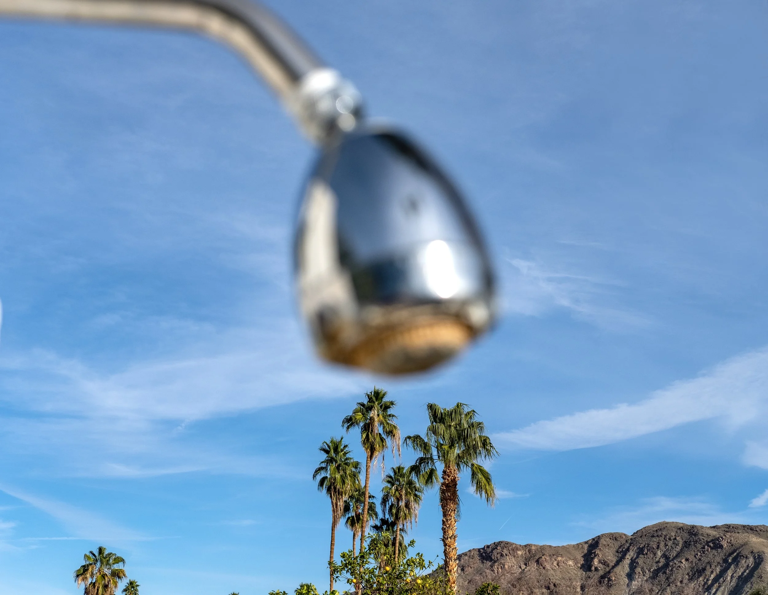 showerhead and palmtrees, Palm Springs