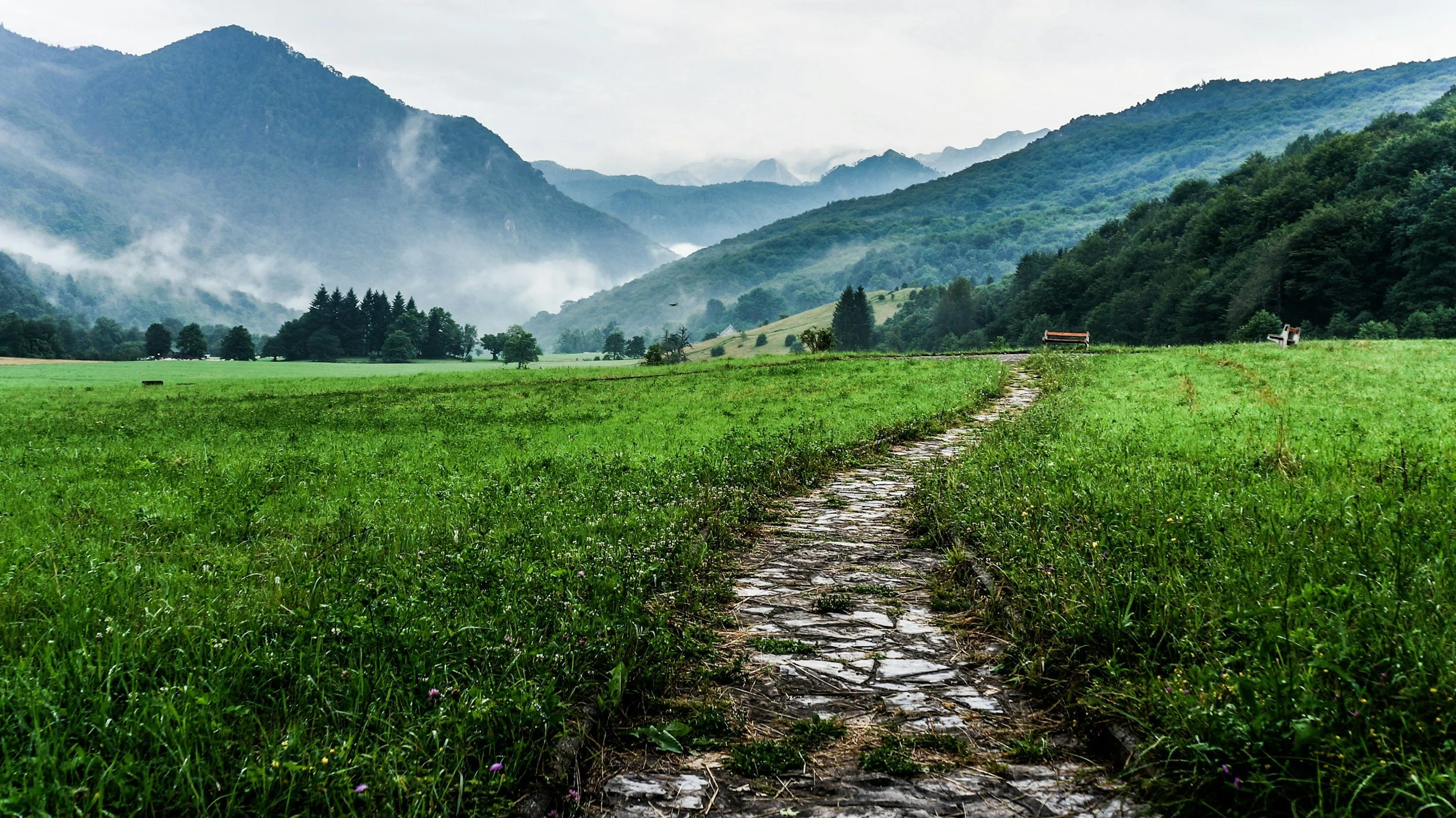 A landscape of green fields with a stone pathway leading toward distant mountains shrouded in mist.