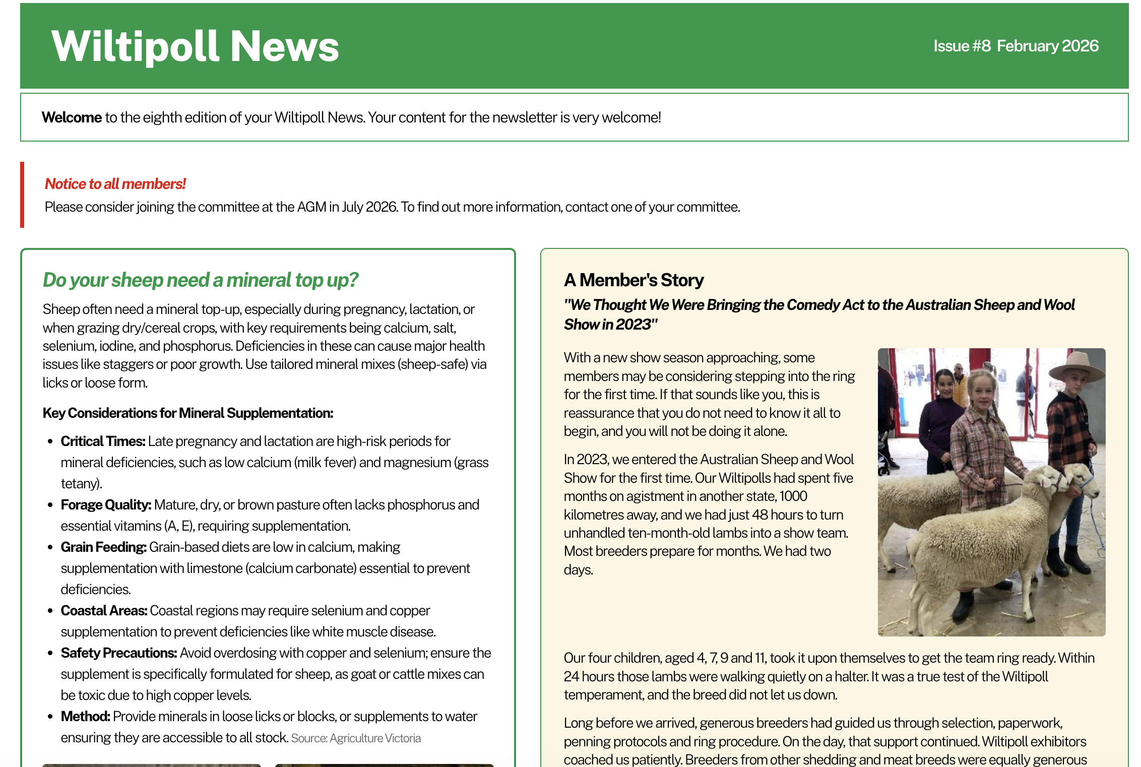 February 2026 Newsletter
