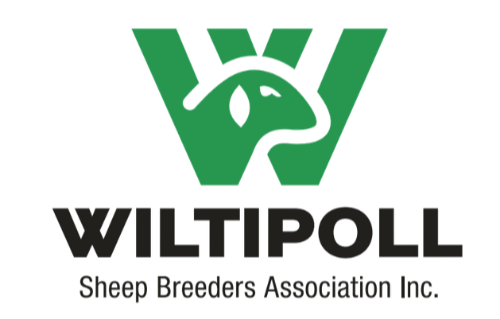 Wiltipoll Sheep Breeders Association