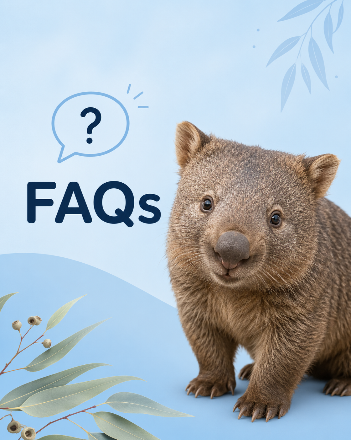 Cute baby quokka on blue background with the words 'FAQs' and a speech bubble with a question mark.