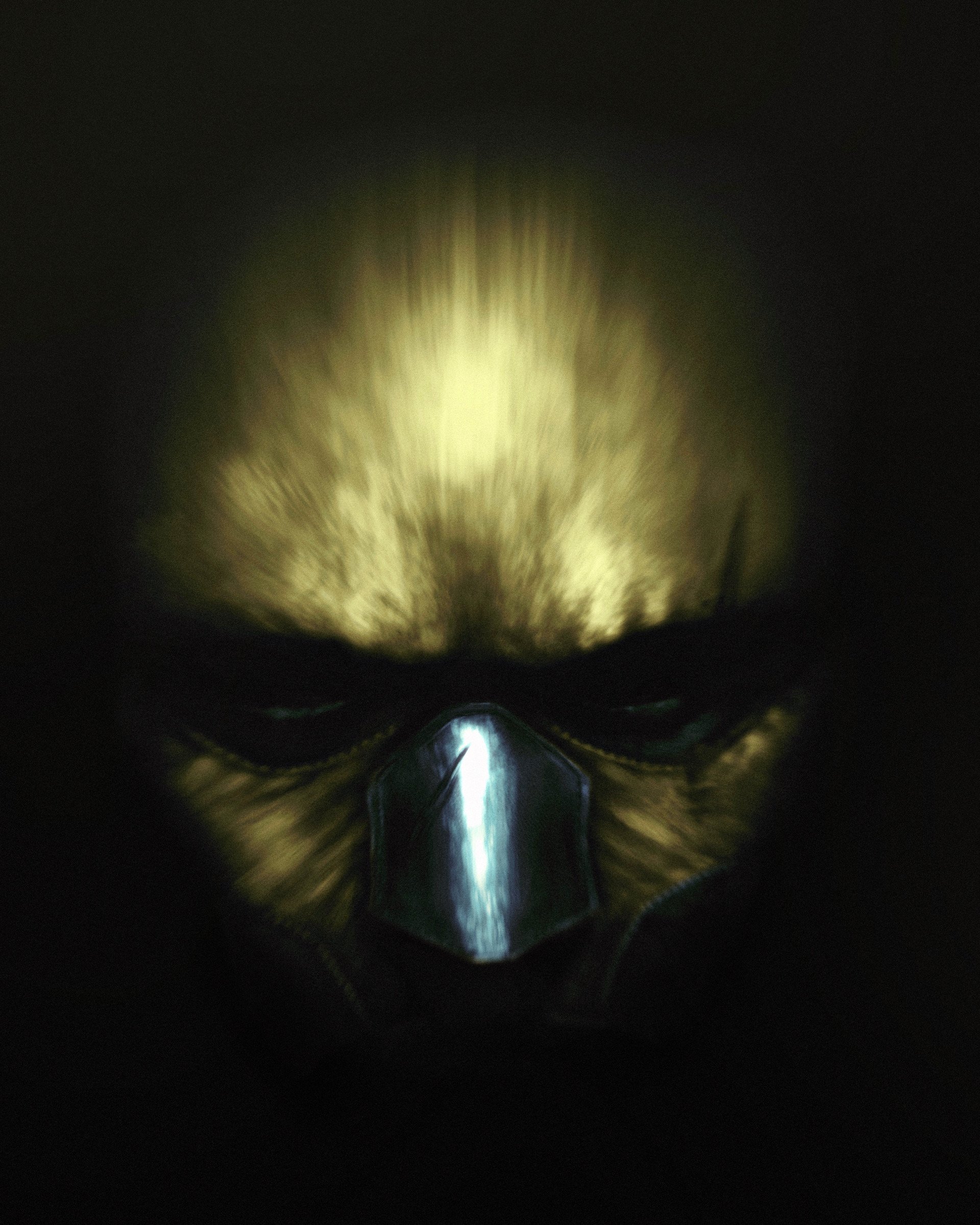 Mask Closeup.JPG