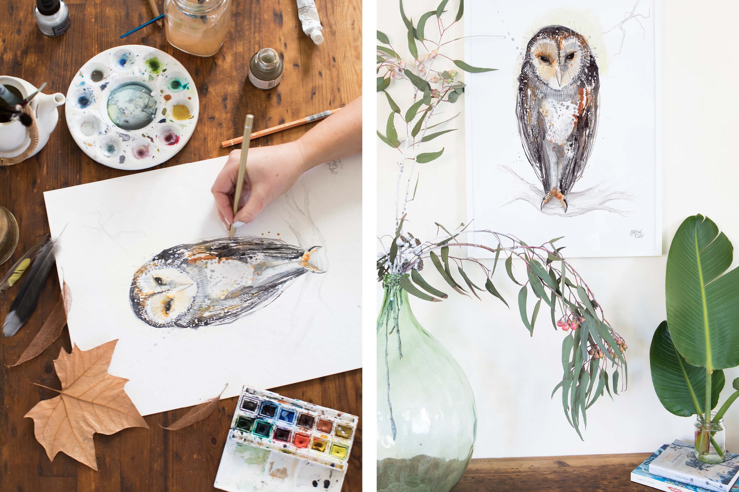 Hand-painted Australian Masked Owl illustrations created in pencil and watercolour as part of an illustrated feathered friends collection.