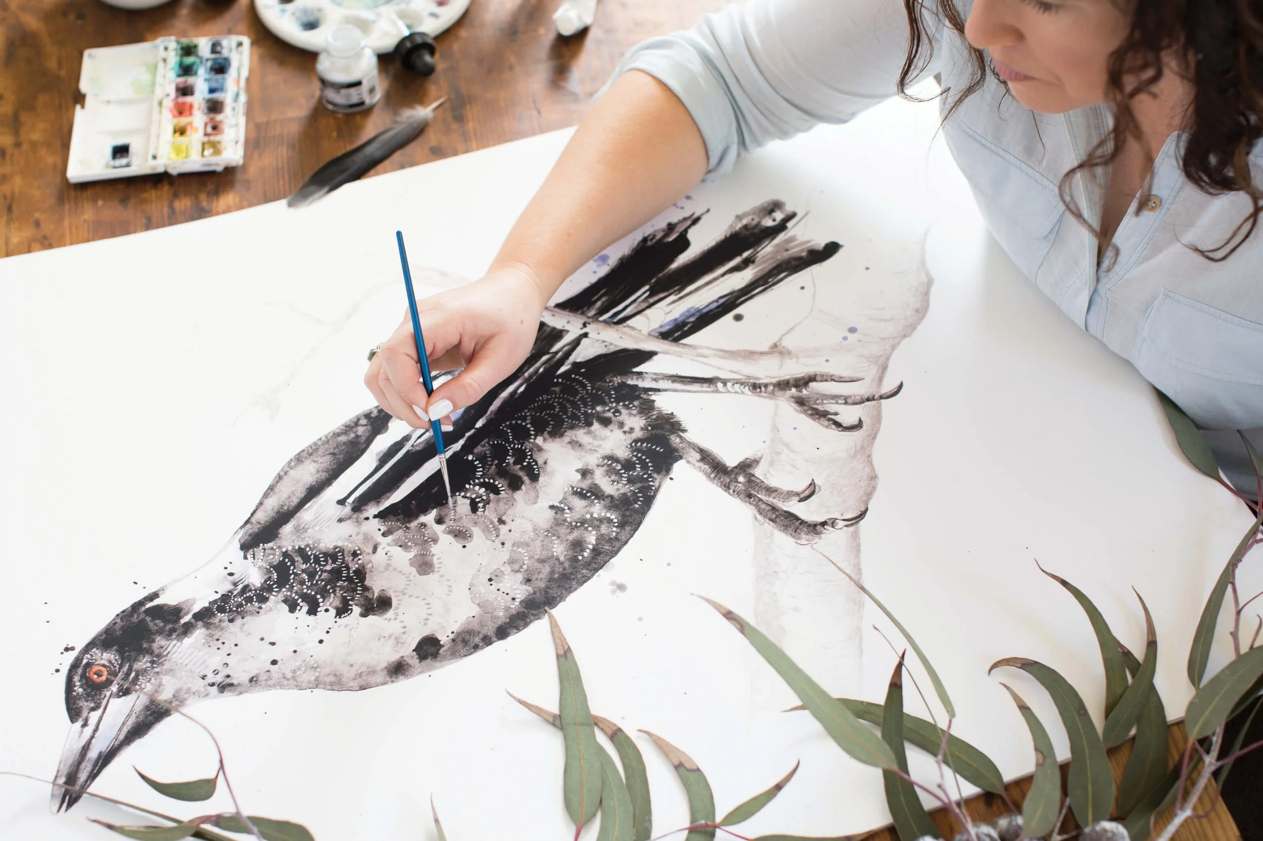Hand-painted Australian Magpie illustrations created in pencil and watercolour as part of an illustrated feathered friends collection.