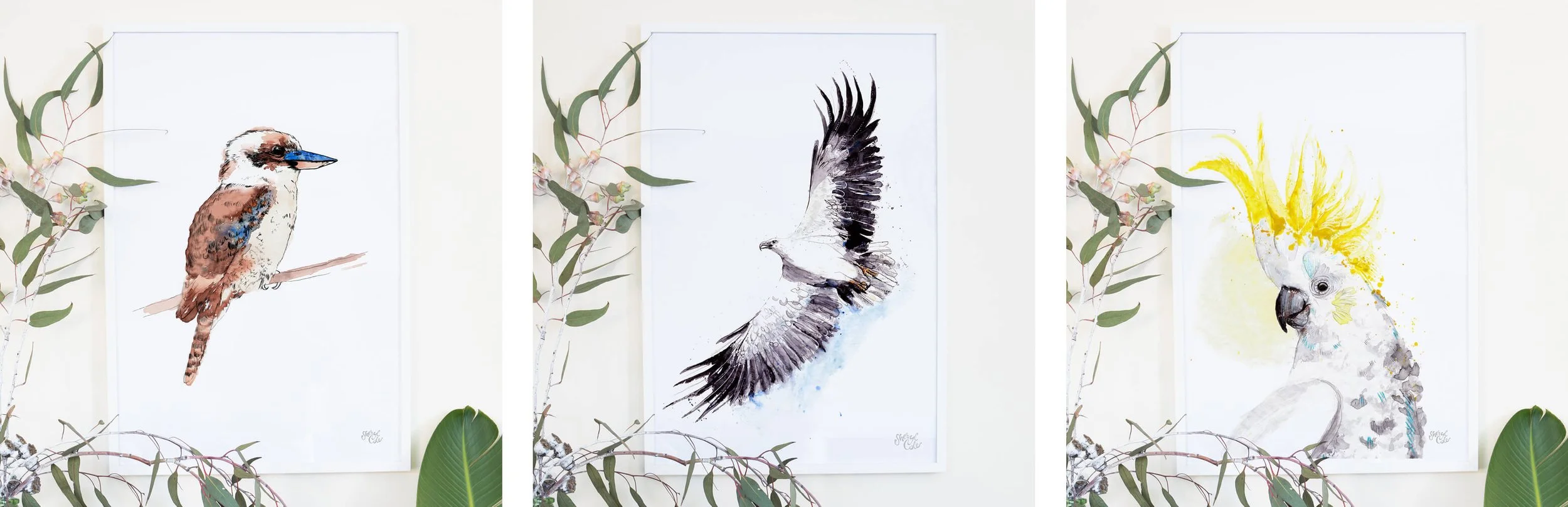 Hand-painted Australian native bird illustrations created in pencil and watercolour as part of an illustrated feathered friends collection.
