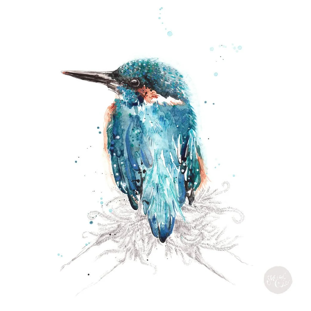 Australian Feathered Friends