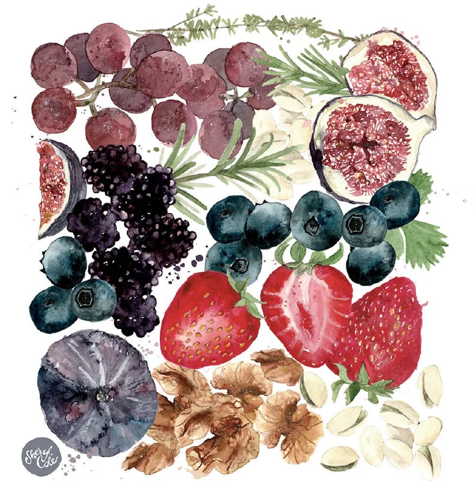 Watercolour food illustration of a fruit and nut grazing platter featuring seasonal produce and organic composition styling.