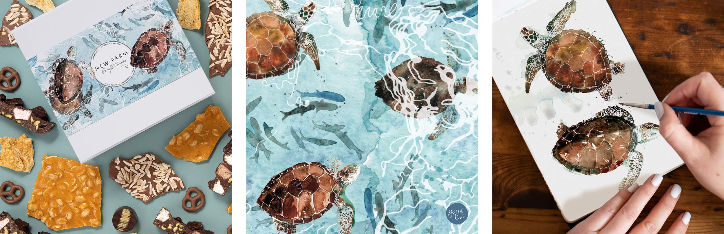 Hand-painted watercolour sea turtle packaging illustration created for New Farm Confectionery Father’s Day seasonal gift box campaign.