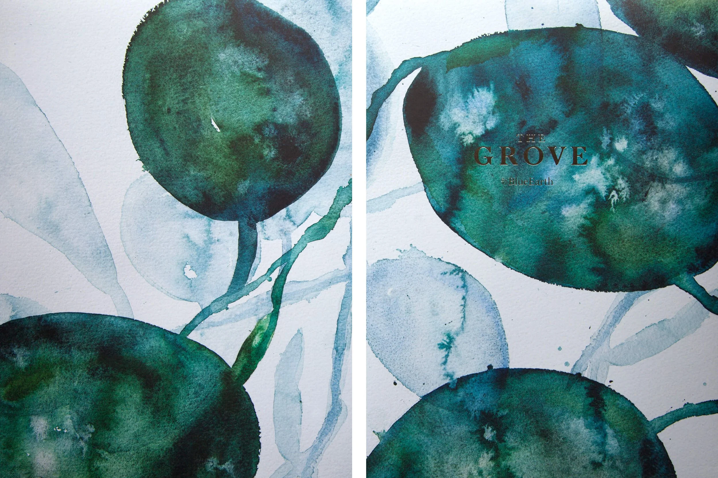 Leaf motif branding illustration created in watercolour and vector form for The Grove apartment development presentation materials.