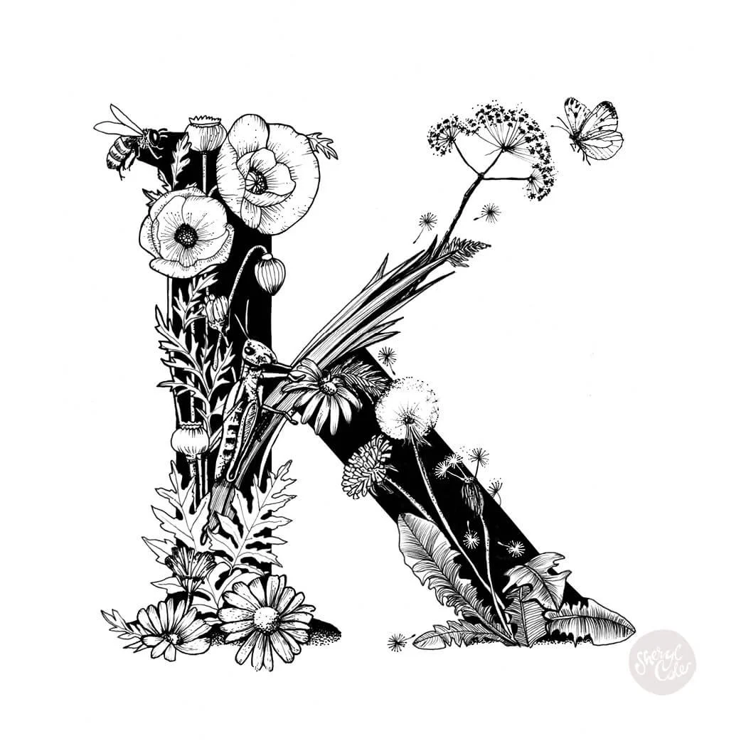 Letter K – Alphabet Series
