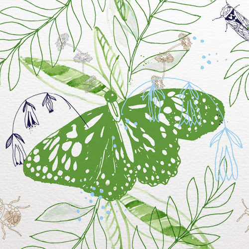 Boho Exotica for BioPak