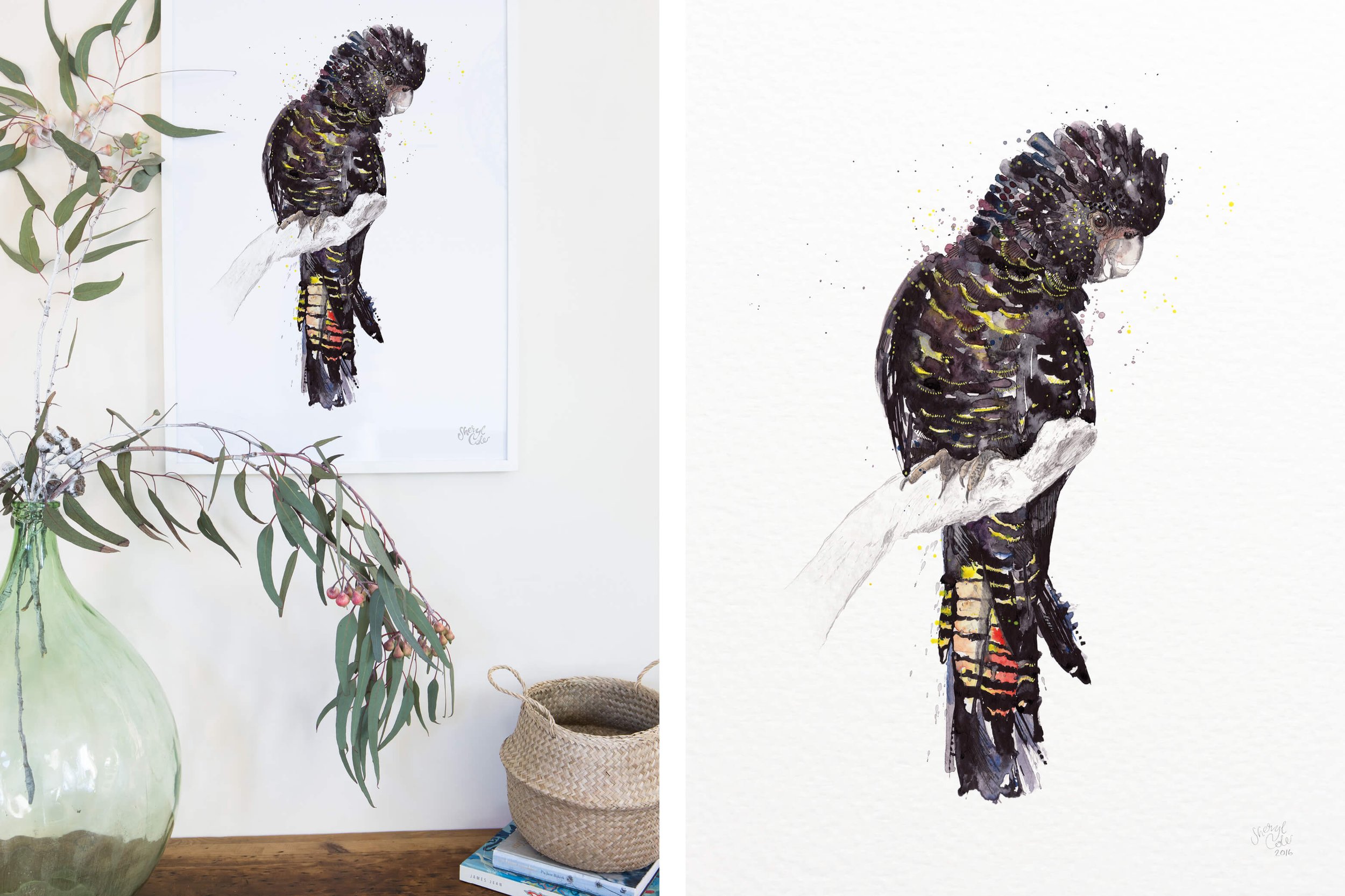 Hand-painted Australian Black Cockatoo illustrations created in pencil and watercolour as part of an illustrated feathered friends collection.