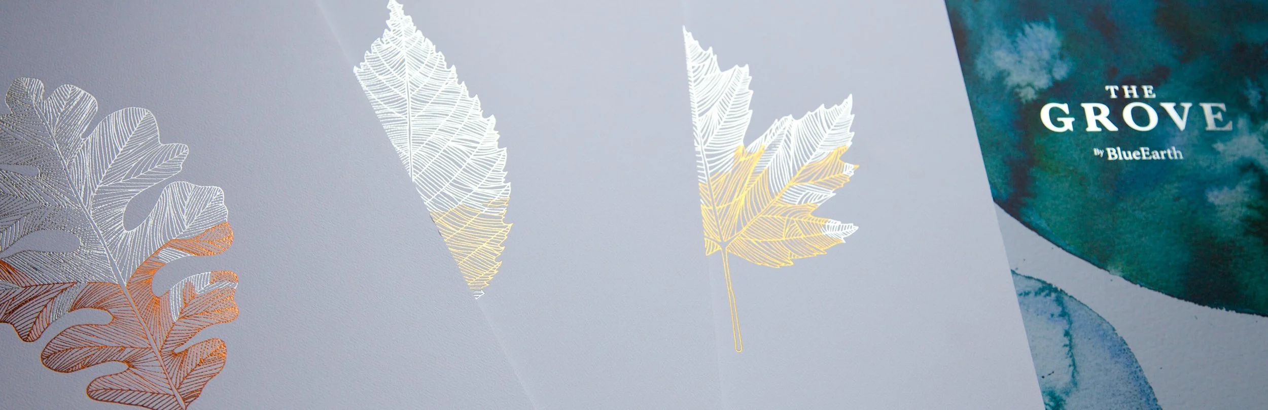 Leaf motif branding illustration created in watercolour and vector form for The Grove apartment development presentation materials.
