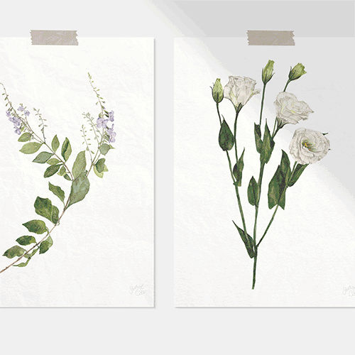 Botanicals for Une Piece