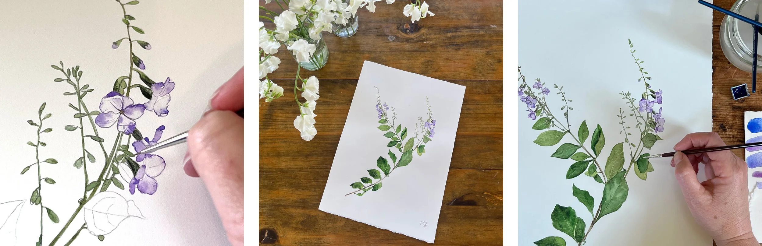 Hand-painted skyflower and white lisianthus botanical illustrations created for Une Piece textile print design.