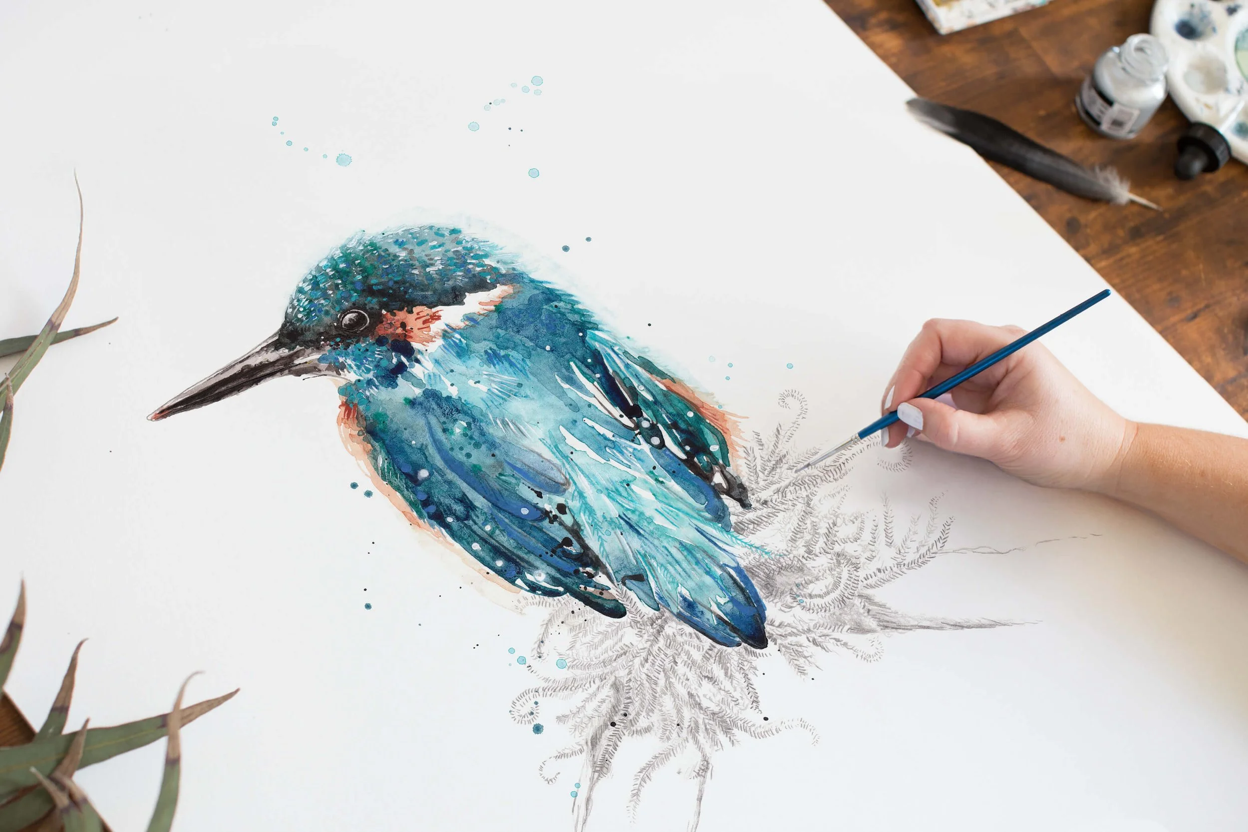 Hand-painted Australian Kingfisher illustrations created in pencil and watercolour as part of an illustrated feathered friends collection.
