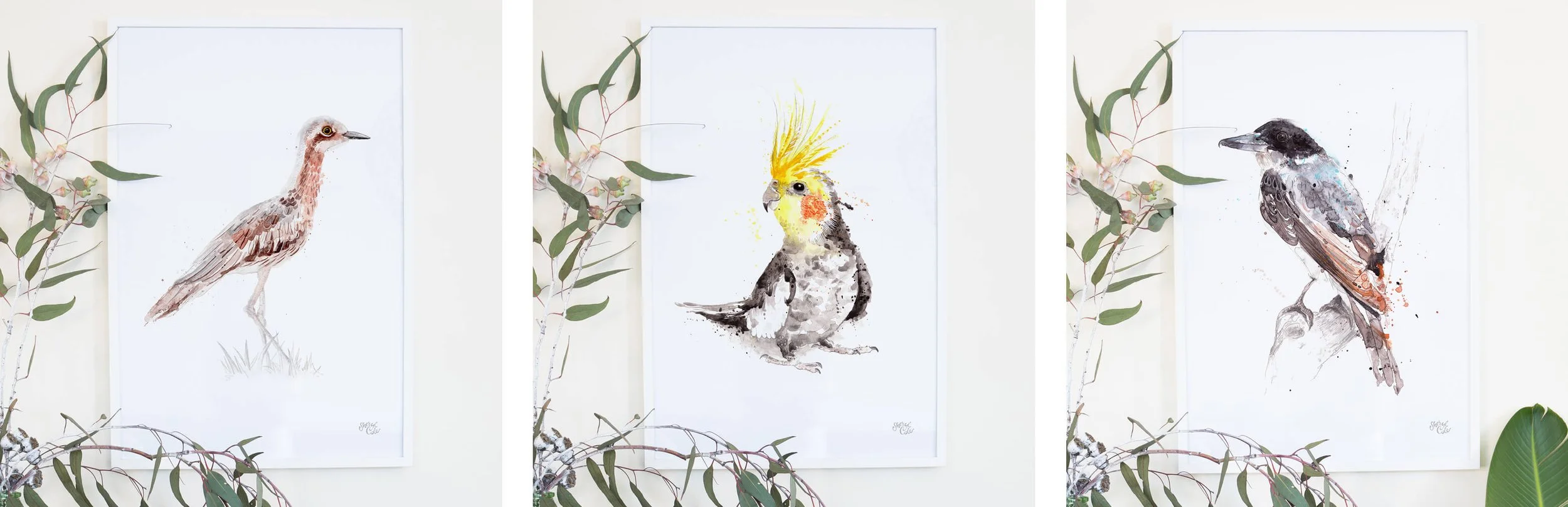 Hand-painted Australian native bird illustrations created in pencil and watercolour as part of an illustrated feathered friends collection.