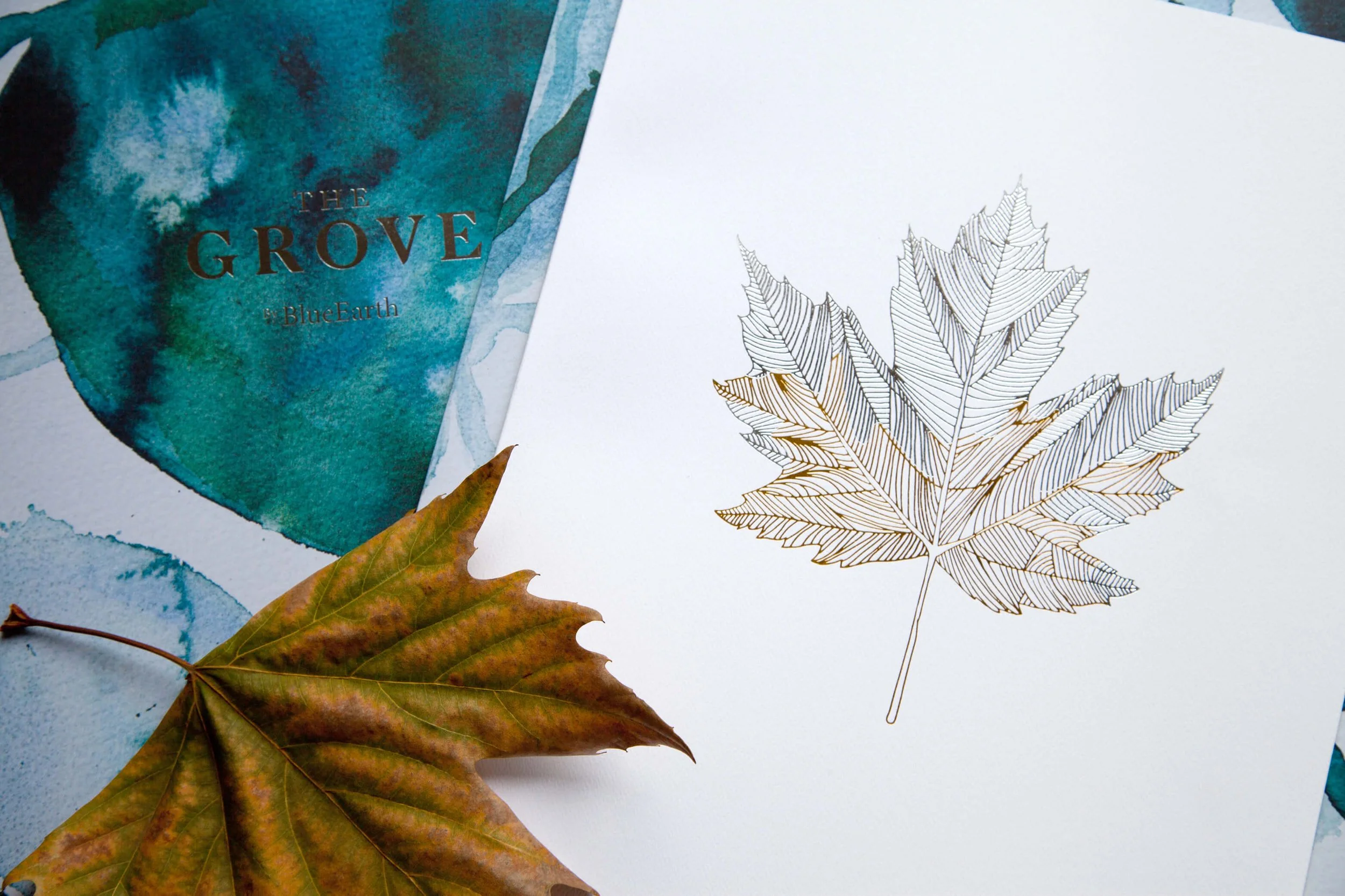 Leaf motif branding illustration created in watercolour and vector form for The Grove apartment development presentation materials.