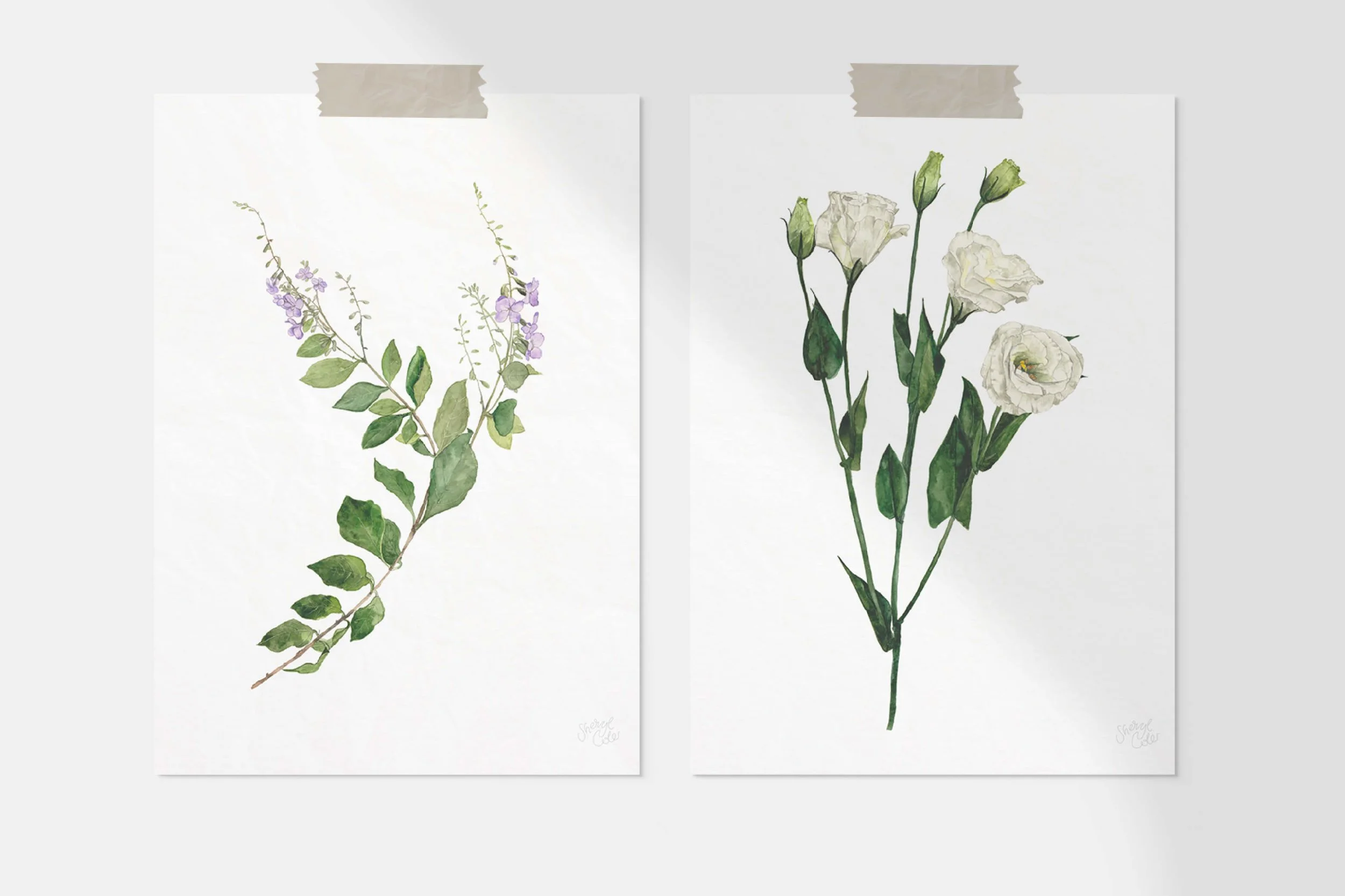Hand-painted skyflower and white lisianthus botanical illustrations created for Une Piece textile print design.