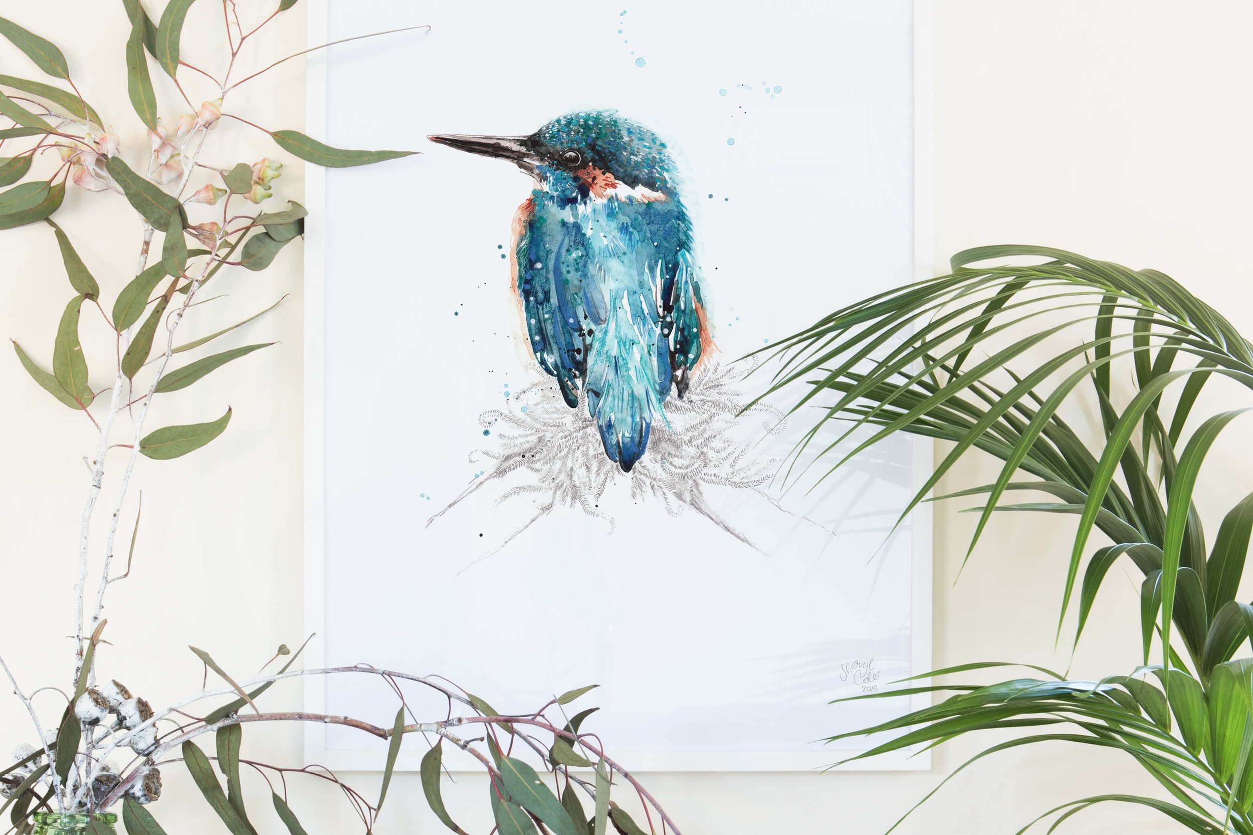 Hand-painted Australian Kingfisher illustrations created in pencil and watercolour as part of an illustrated feathered friends collection.
