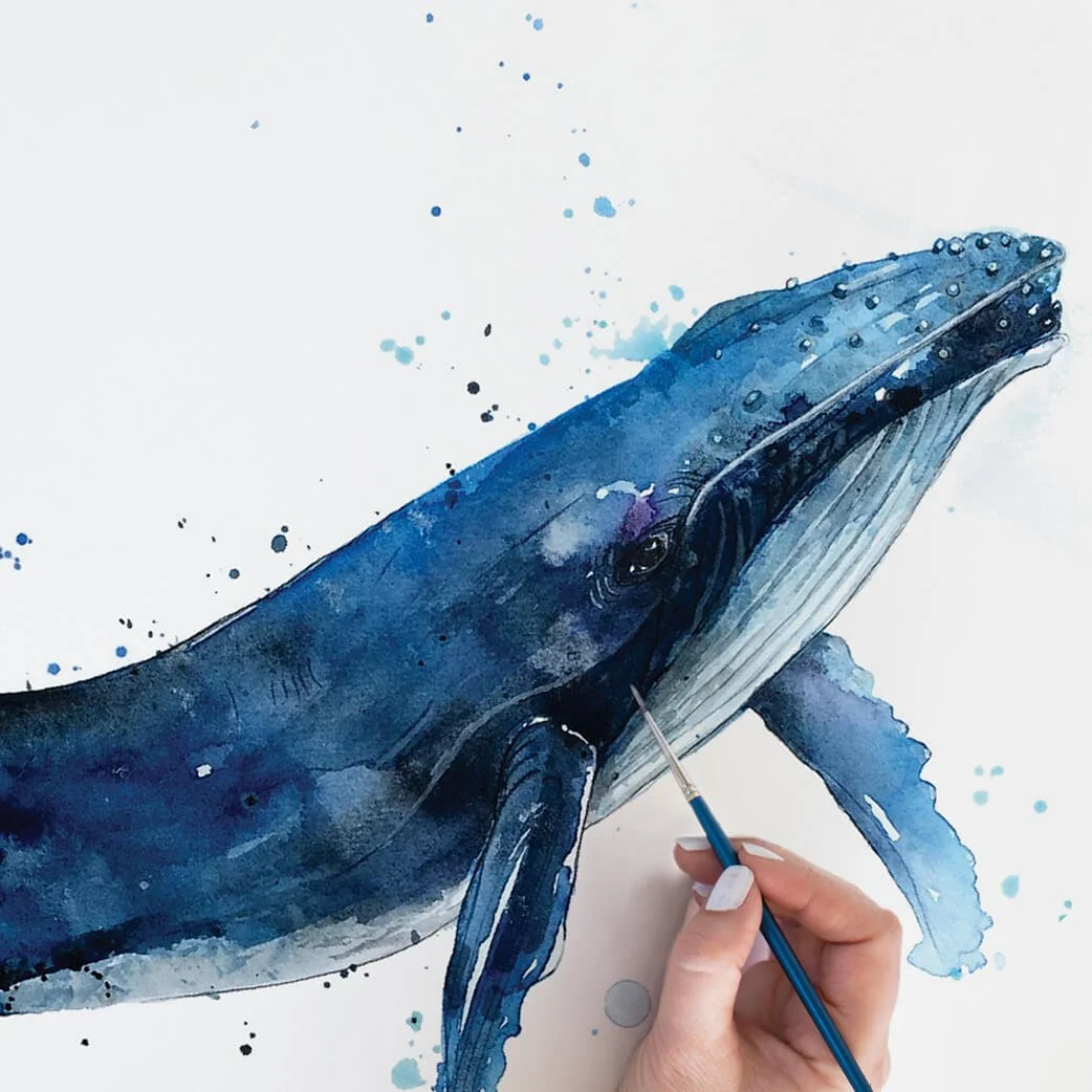 Whale Study