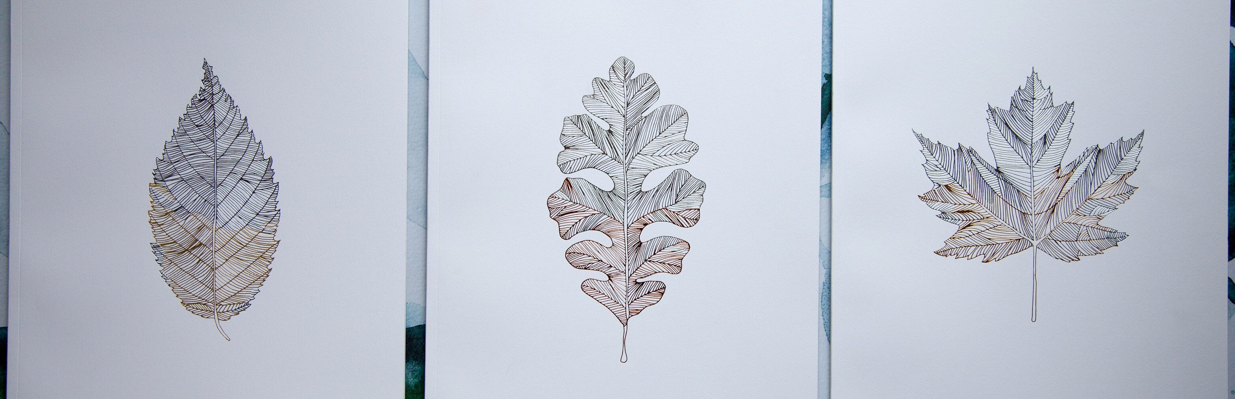 Leaf motif branding illustration created in watercolour and vector form for The Grove apartment development presentation materials.