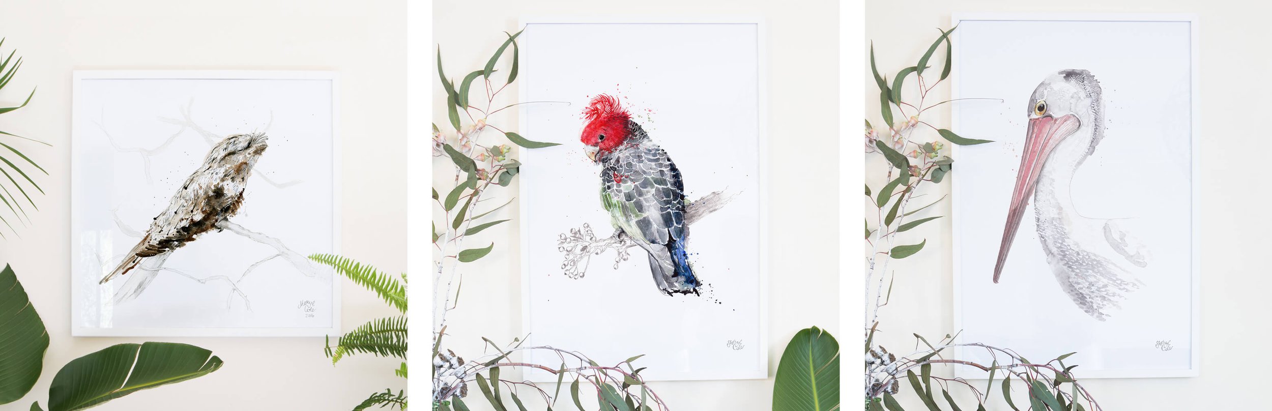 Hand-painted Australian native bird illustrations created in pencil and watercolour as part of an illustrated feathered friends collection.
