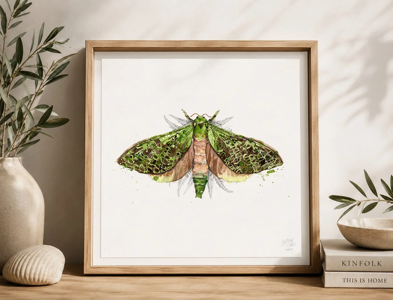 Watercolour illustration of the Puriri Moth, New Zealand’s largest native moth.