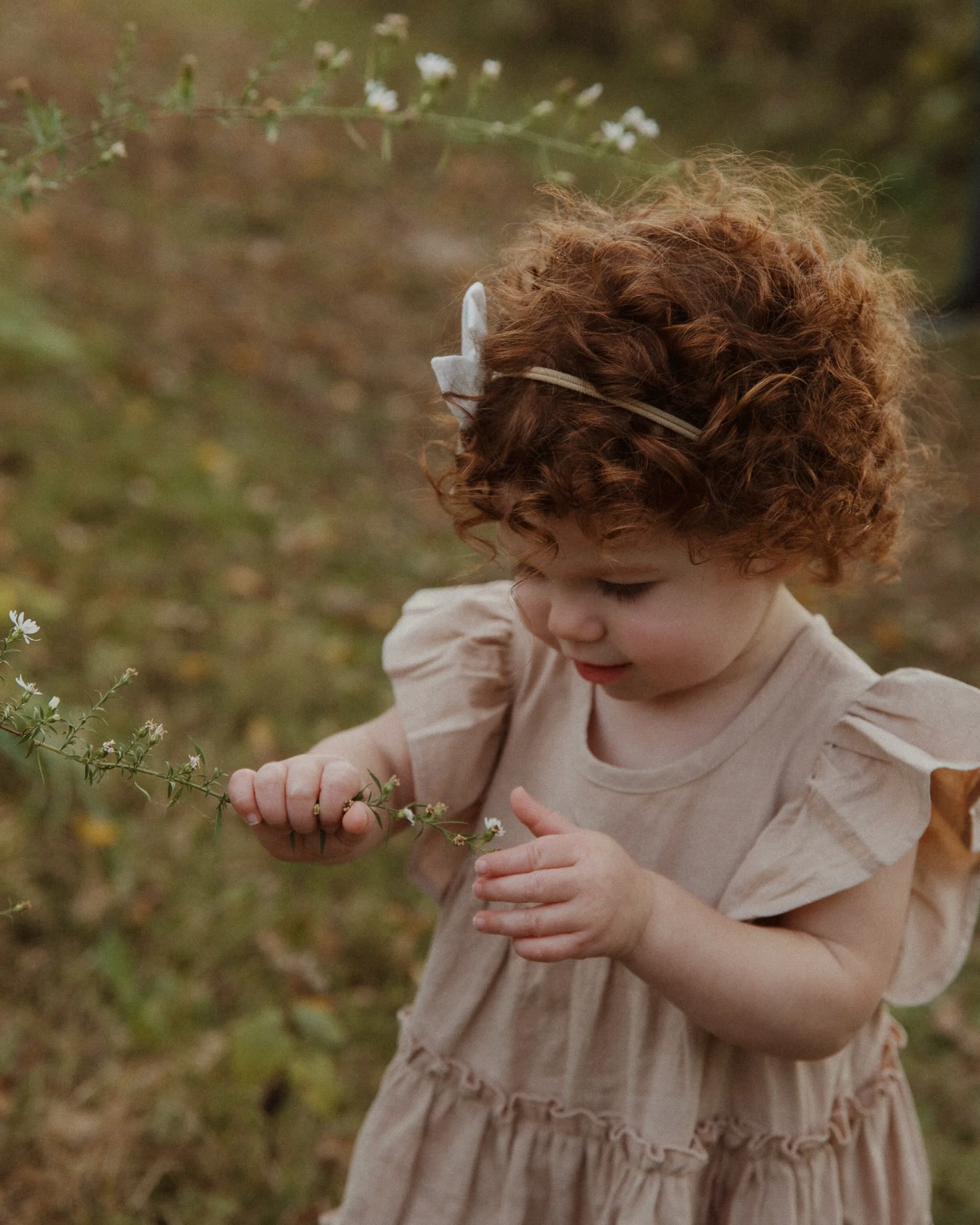 Fall Minis Round II sneak peeks are here and I&rsquo;m obsessed. I love how we can do same location, same time of day, and it looks like a completely new vibe because Mother Nature gives us a little more 🤌🏼mood🤌🏼. 

Did you know how absolutely aw