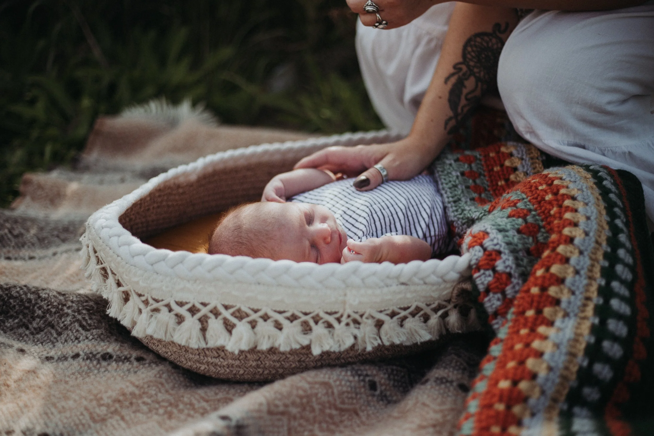 brown-family-session-10.jpg