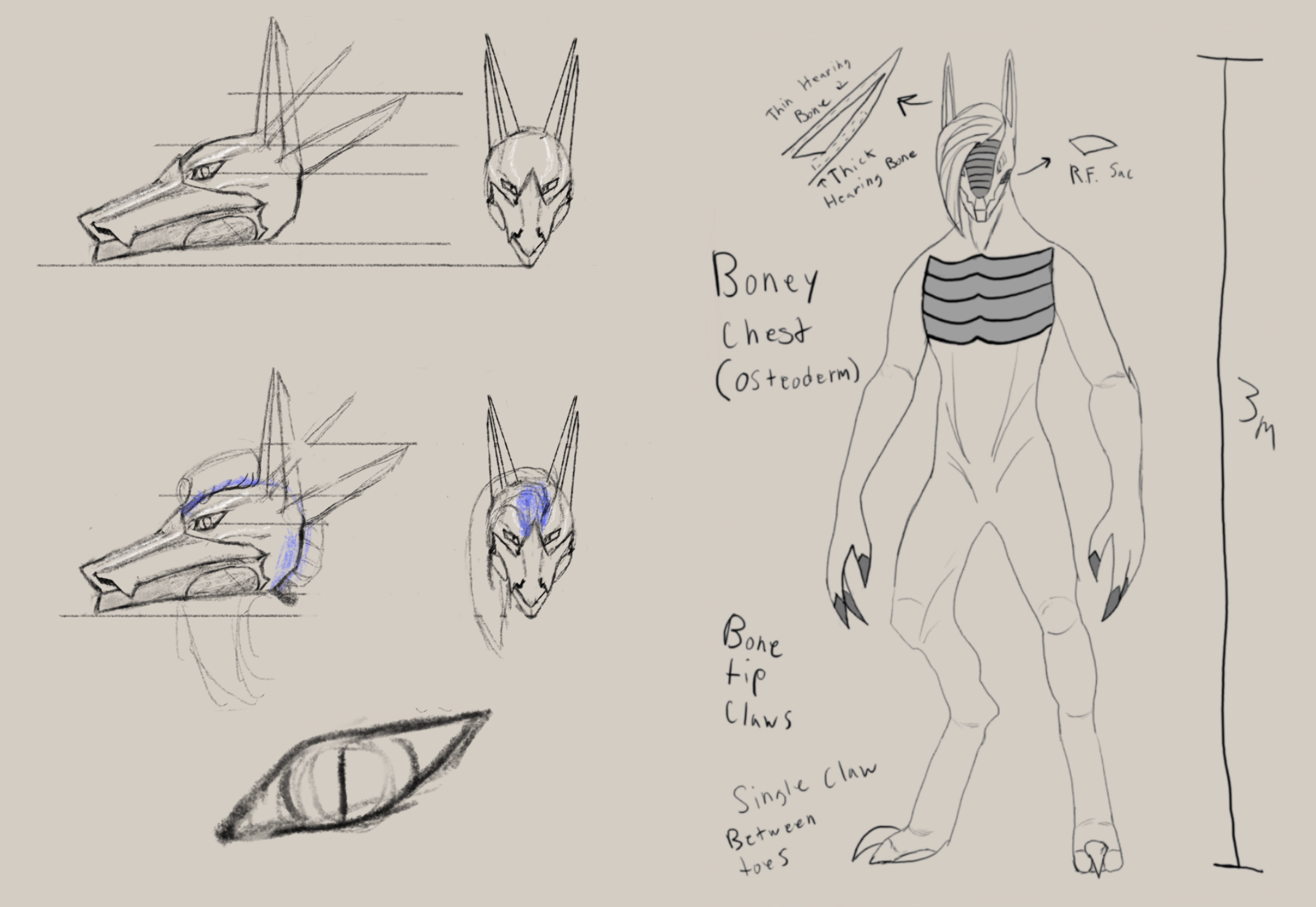 Early design of the Gynoth/Synoth - Assisted by Kace (@kdeckerdesign)