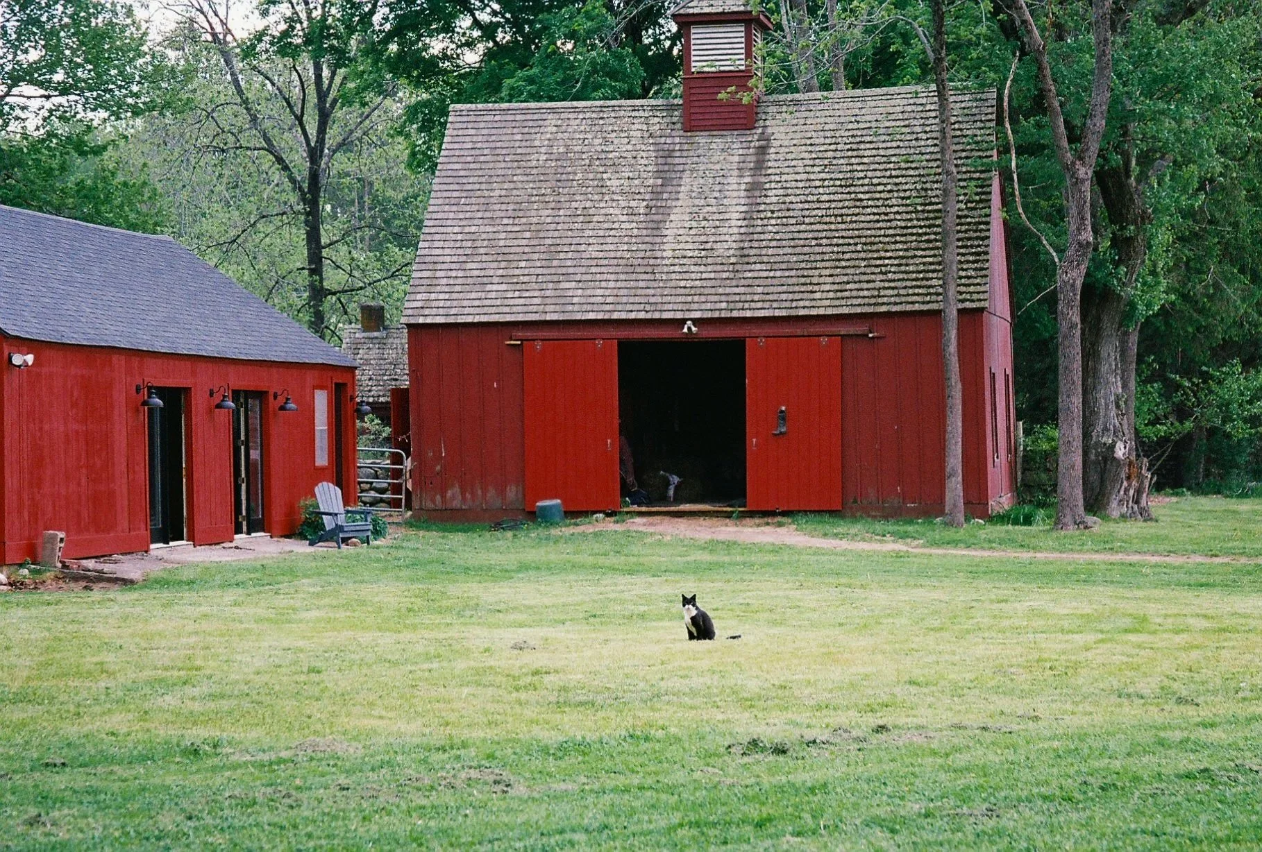 Pet6046_Pet6046-R1-060-28A.jpg