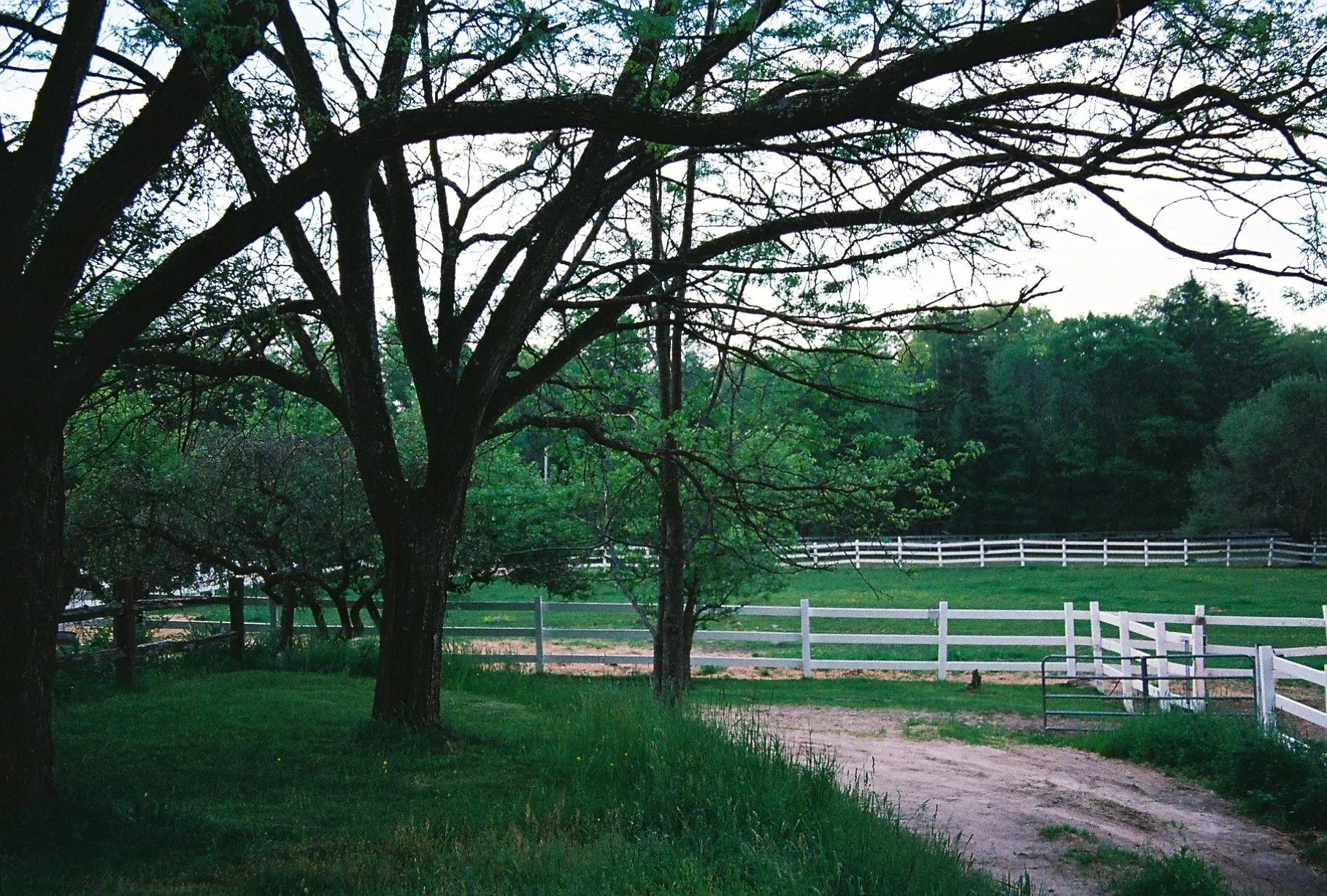 Pet6046_Pet6046-R1-072-34A.jpg