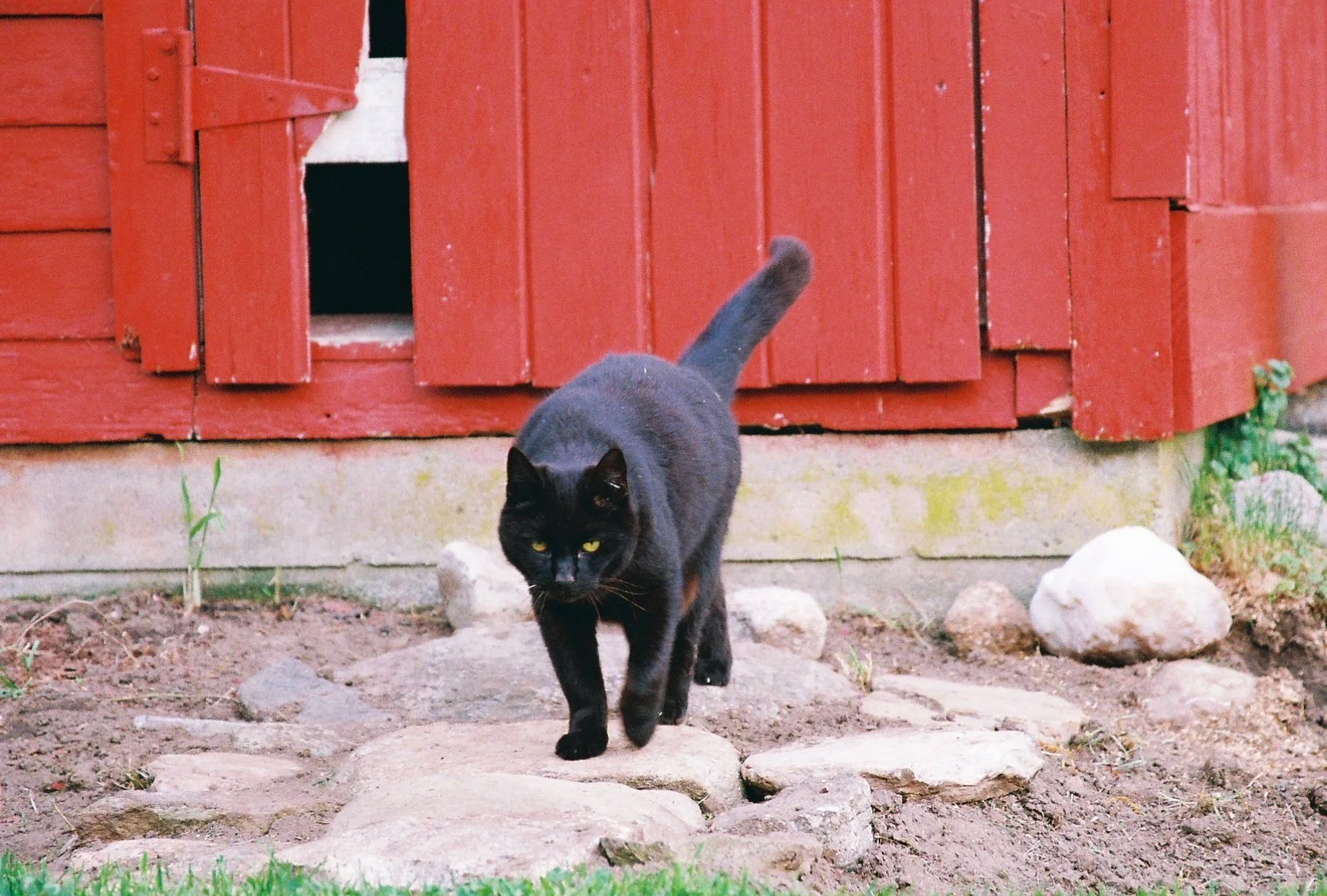 Pet6046_Pet6046-R1-006-1A.jpg