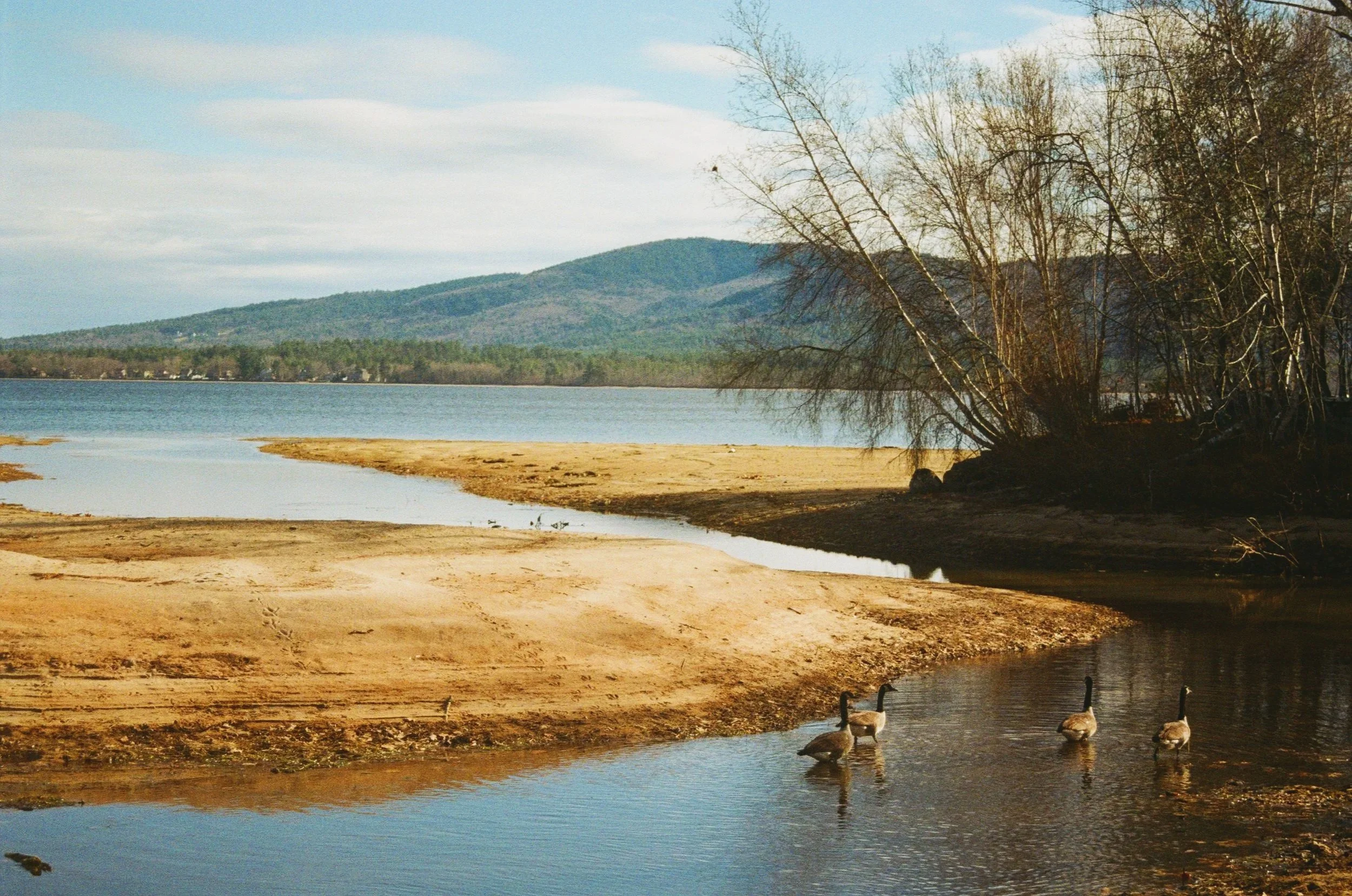 Landscapes