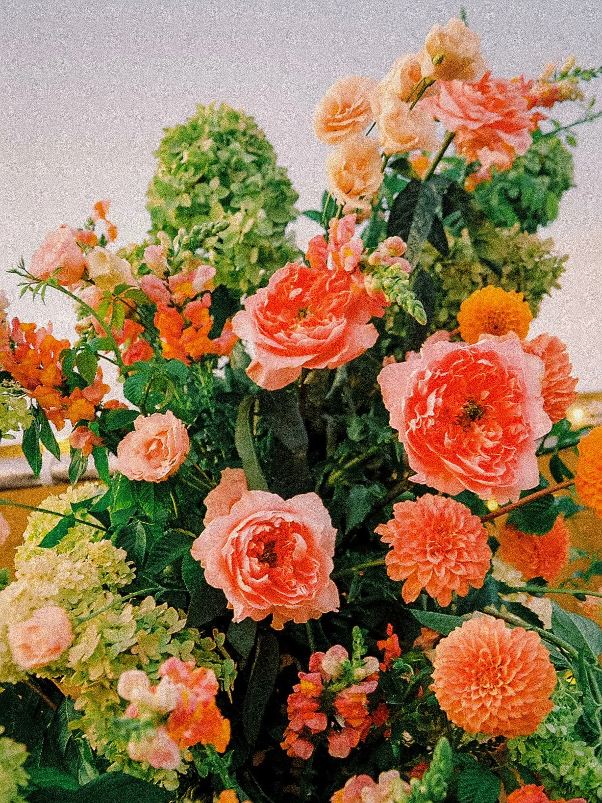 1-Petr612_Petr612-R1-022-9A.jpeg