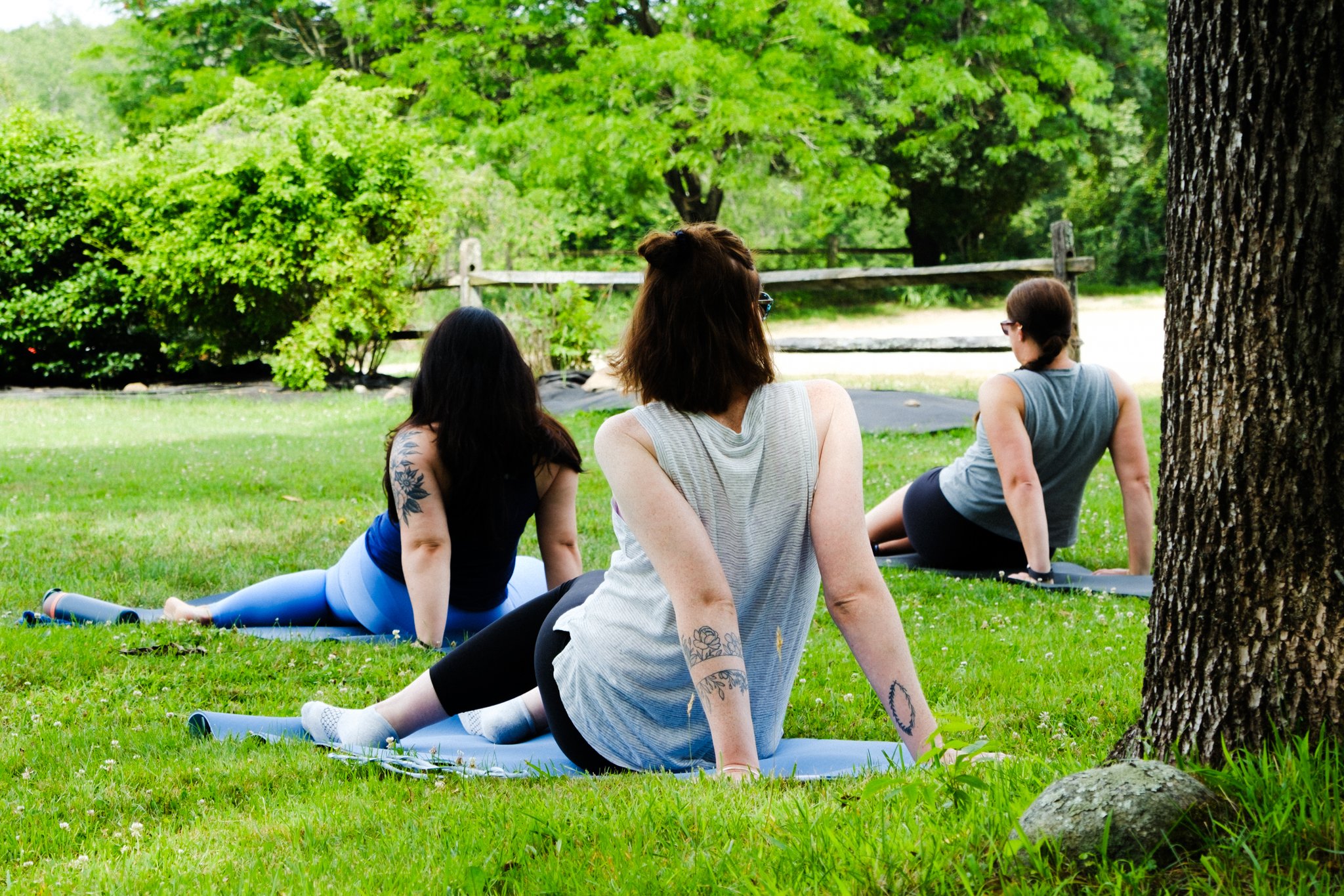 yogatredrock16.jpg