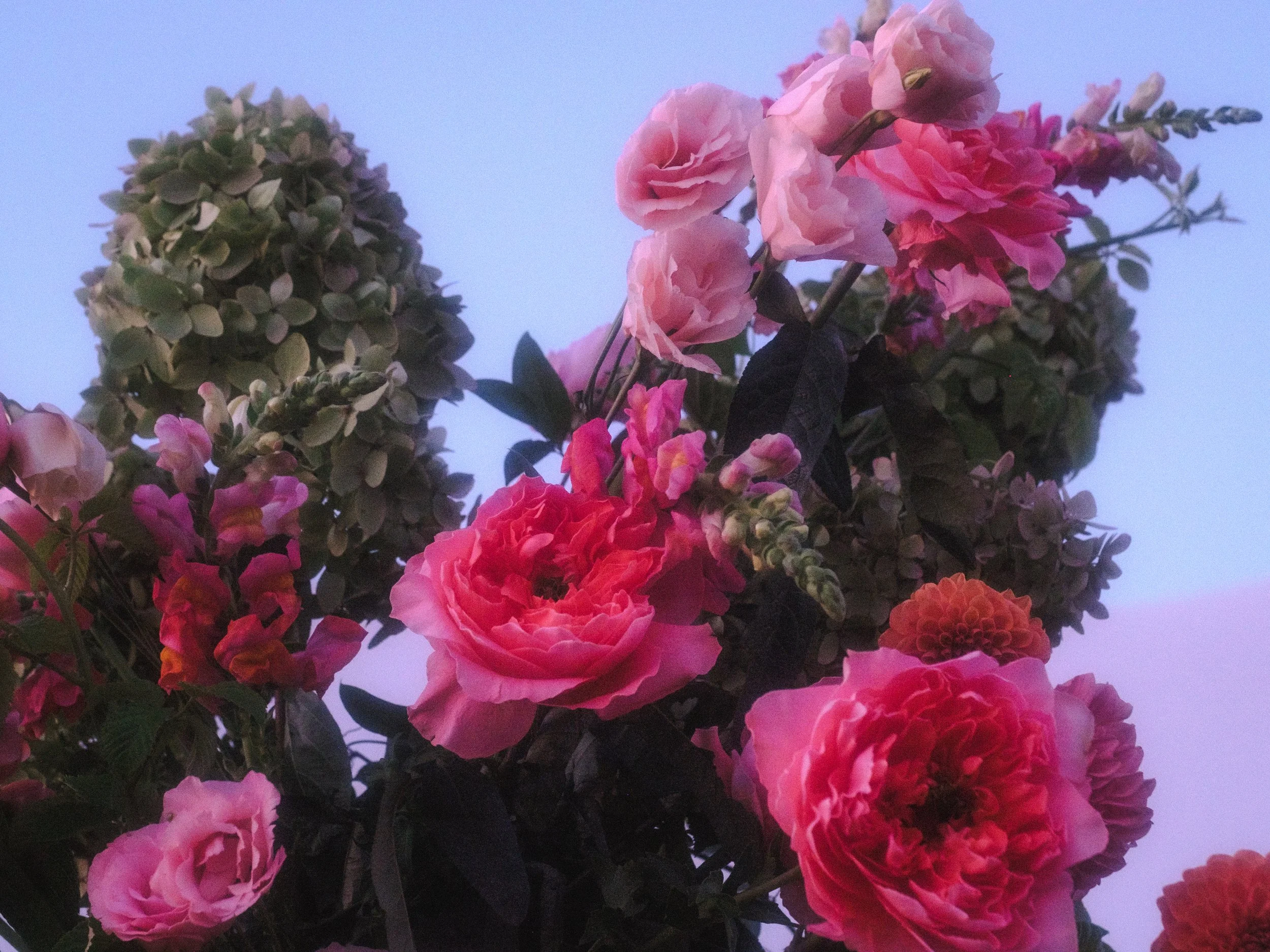 DSCF9198.jpg