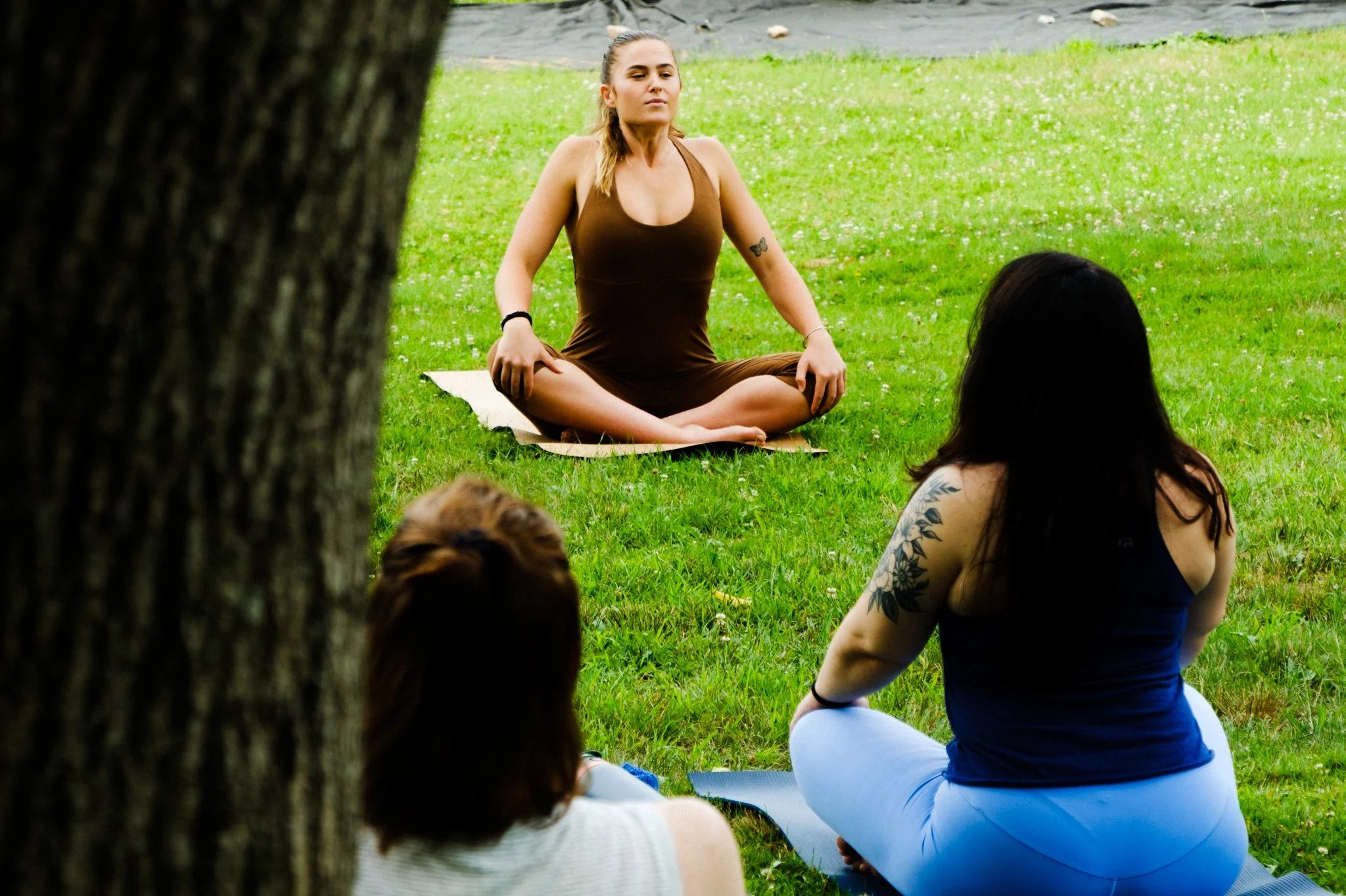 yogatredrock15.jpg