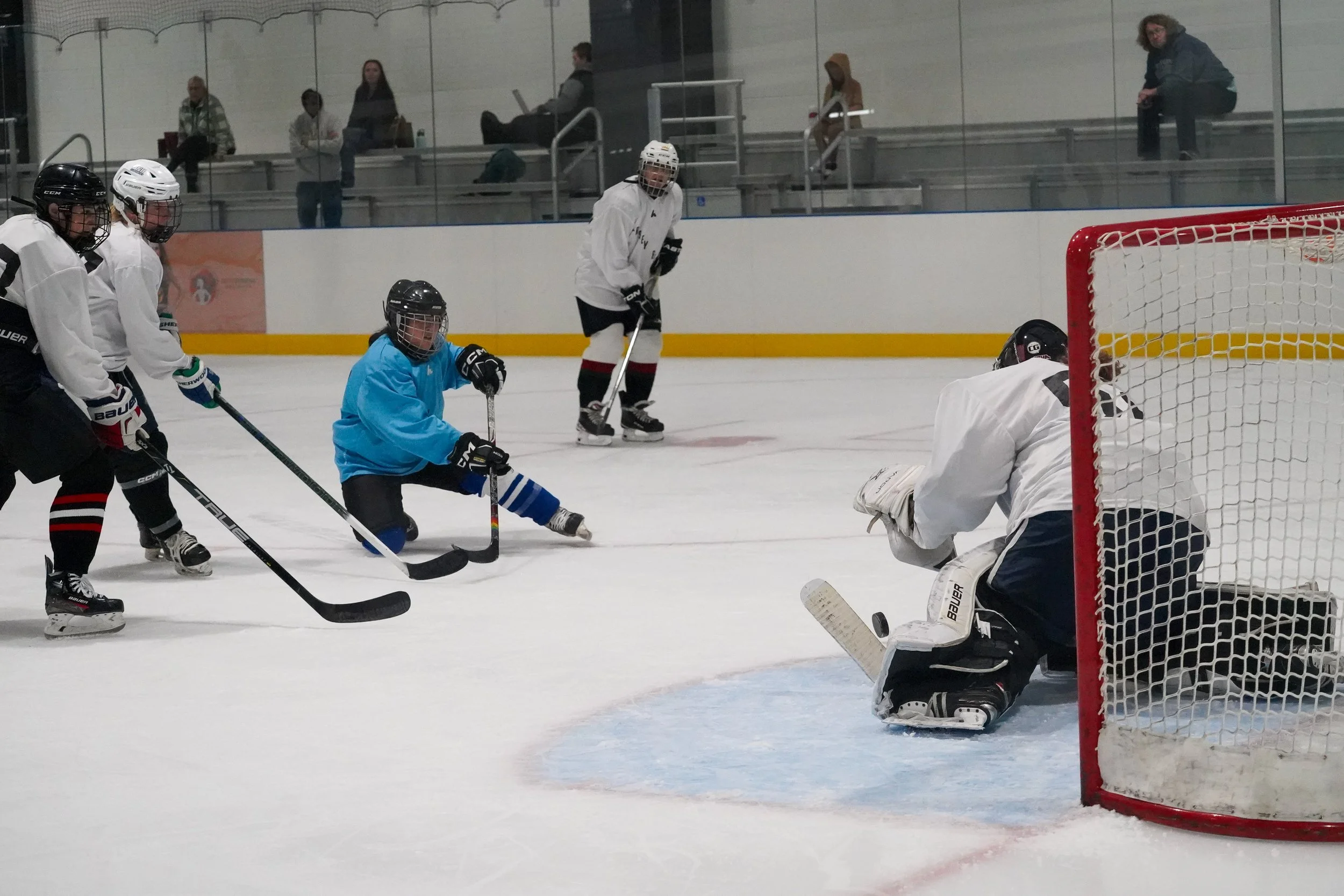 2026.08.26 Jersey Birds Blue Jays vs Gulls-34.jpg