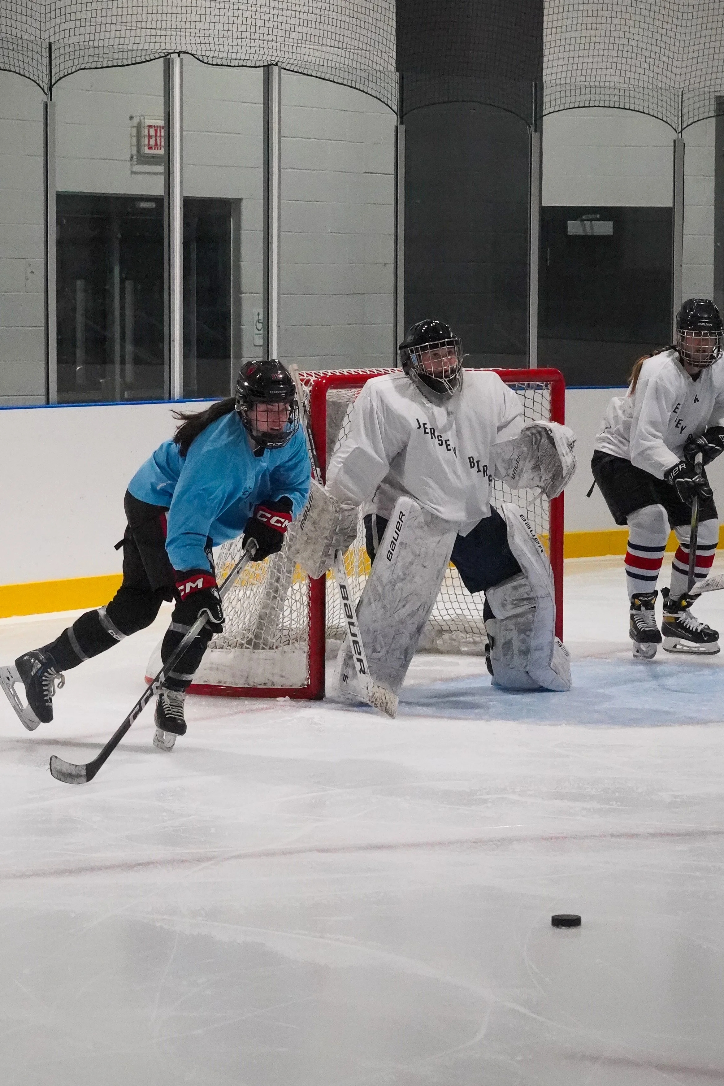2026.08.26 Jersey Birds Blue Jays vs Gulls-58.jpg