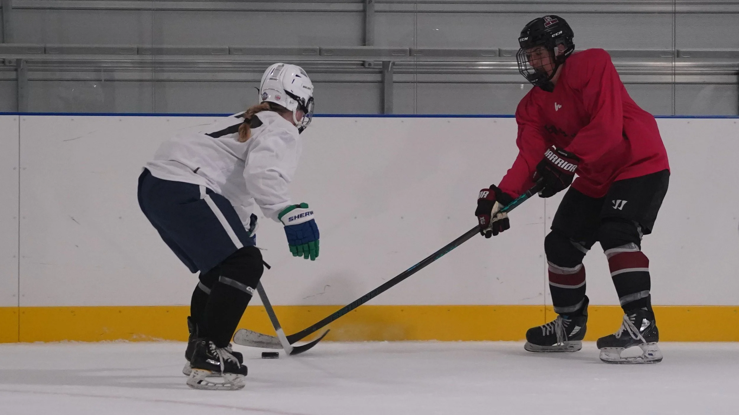 2026.07.29 Jersey Birds Hockey-17.jpg